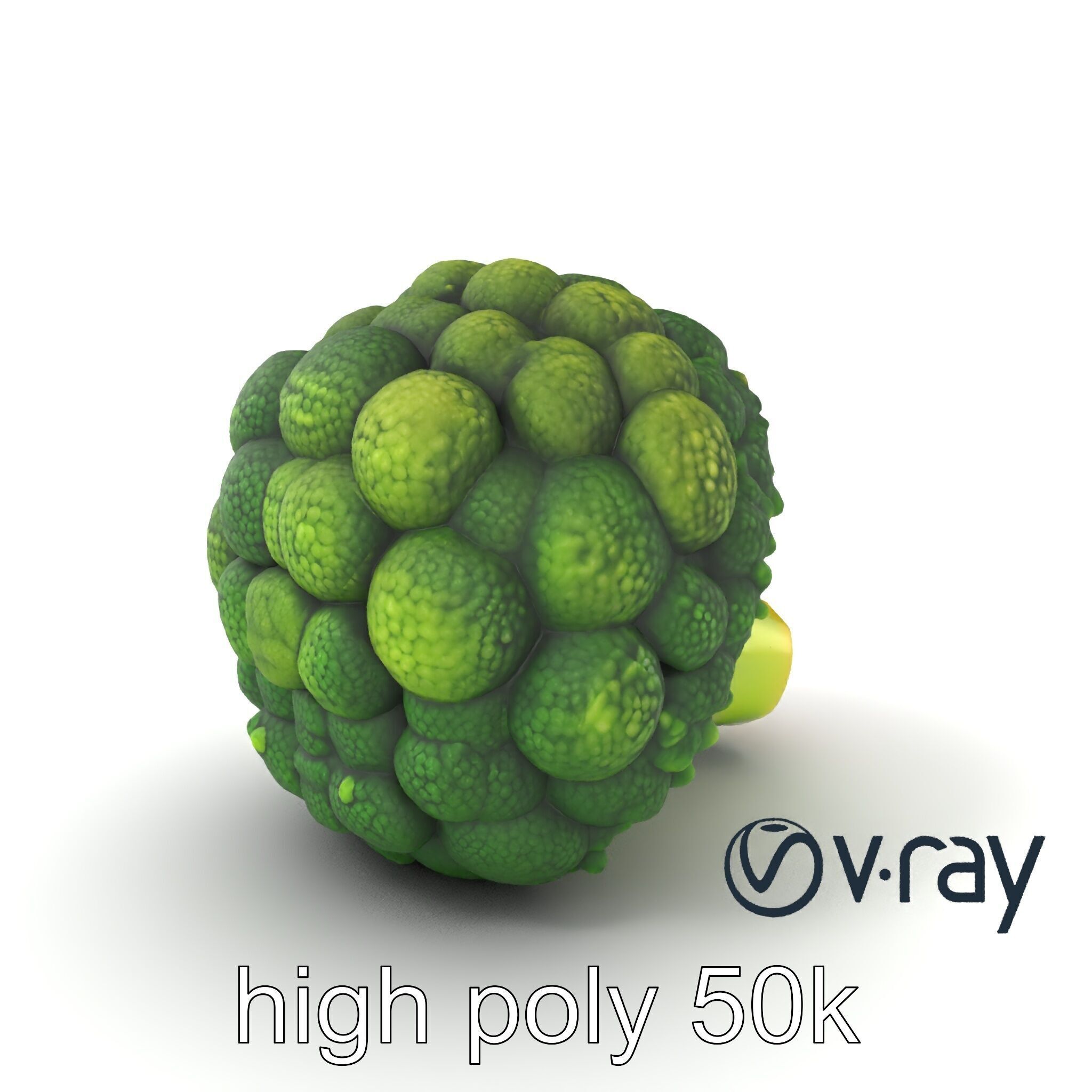 Detailed Green Broccoli Model Pack Low-poly 3D model_6