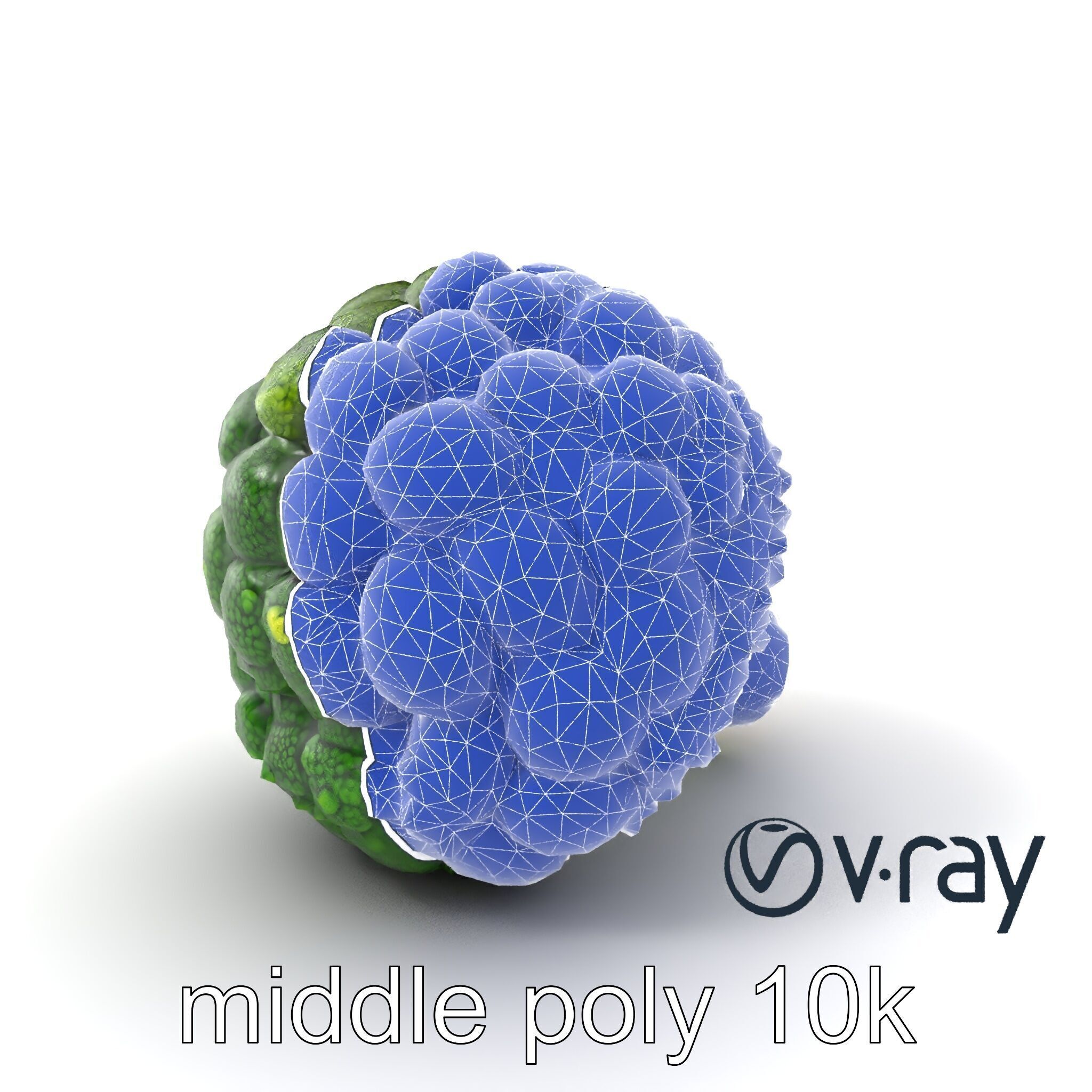 Detailed Green Broccoli Model Pack Low-poly 3D model_26