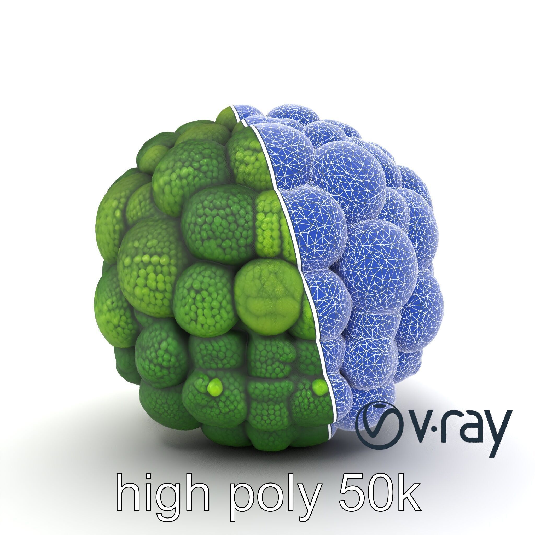 Detailed Green Broccoli Model Pack Low-poly 3D model_22