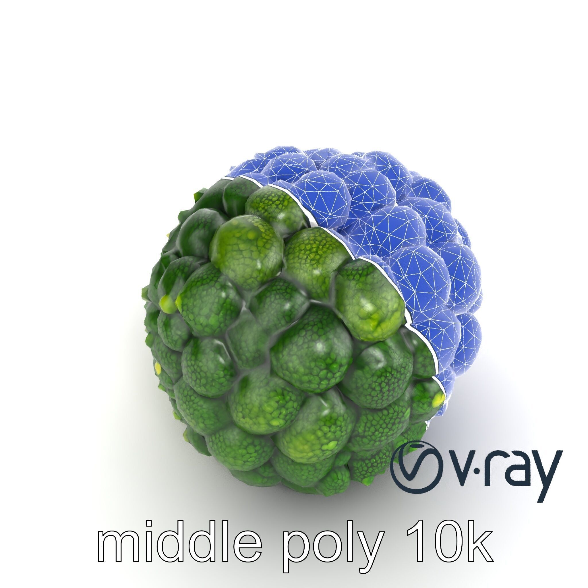 Detailed Green Broccoli Model Pack Low-poly 3D model_30
