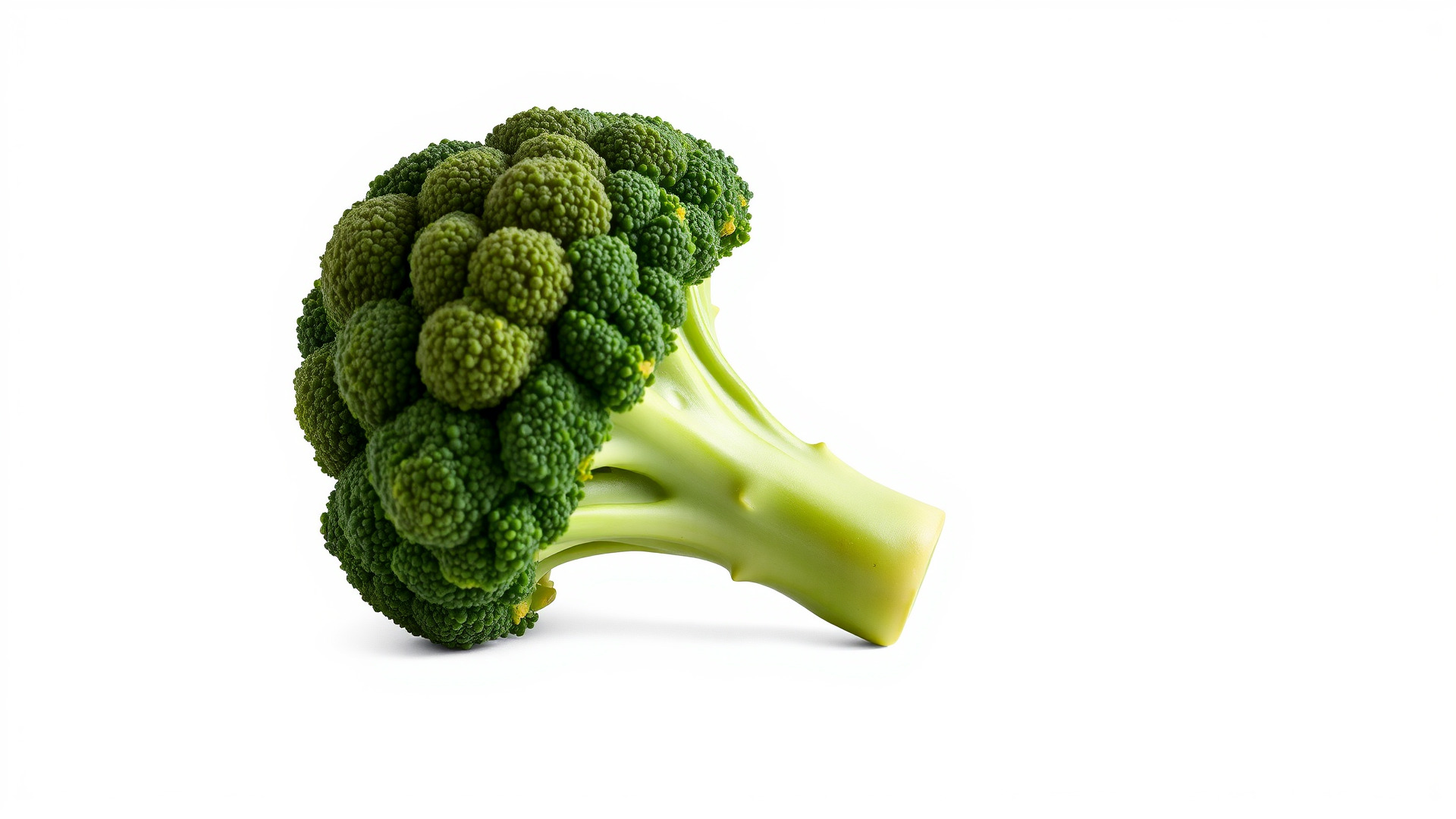 Detailed Green Broccoli Model Pack Low-poly 3D model_3