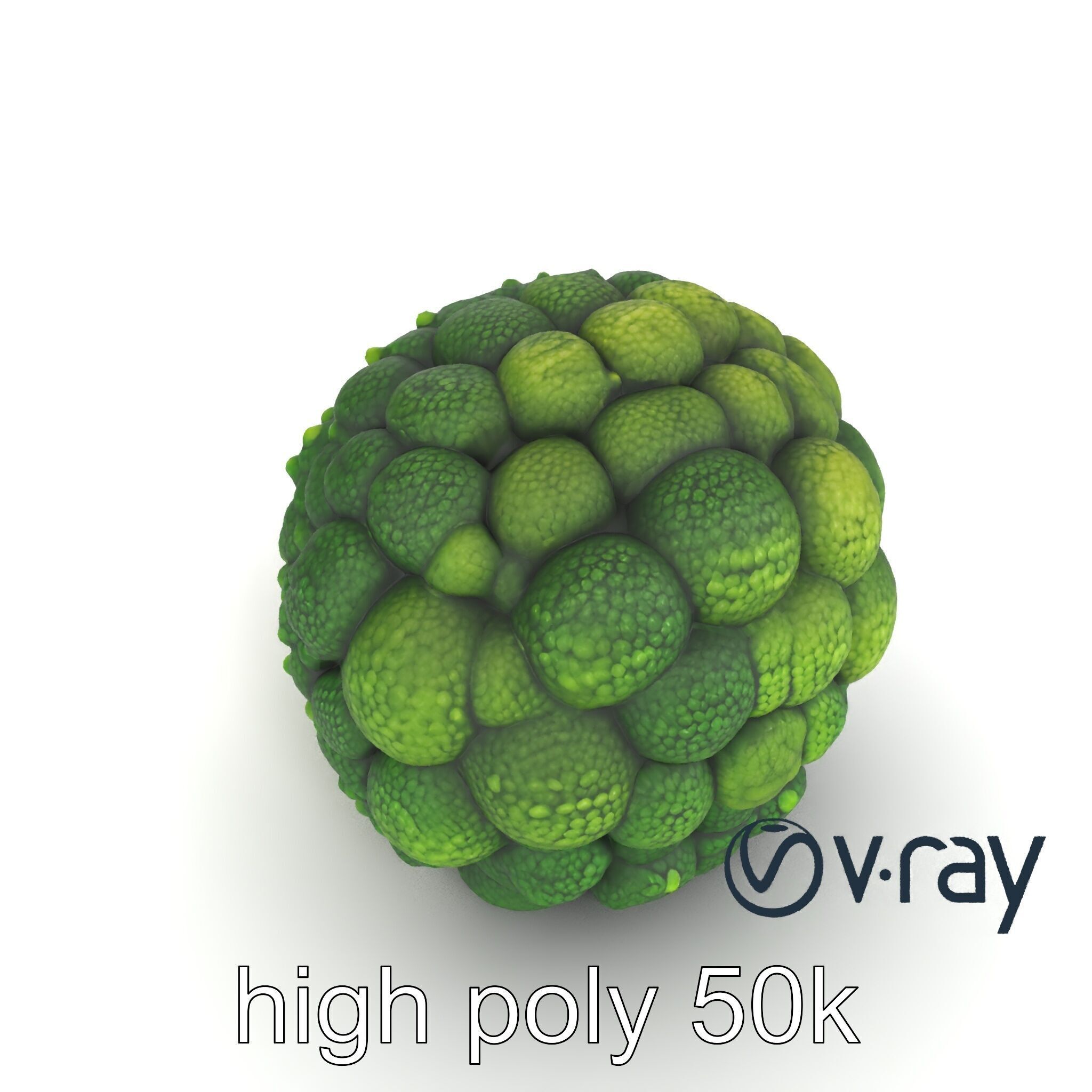 Detailed Green Broccoli Model Pack Low-poly 3D model_16