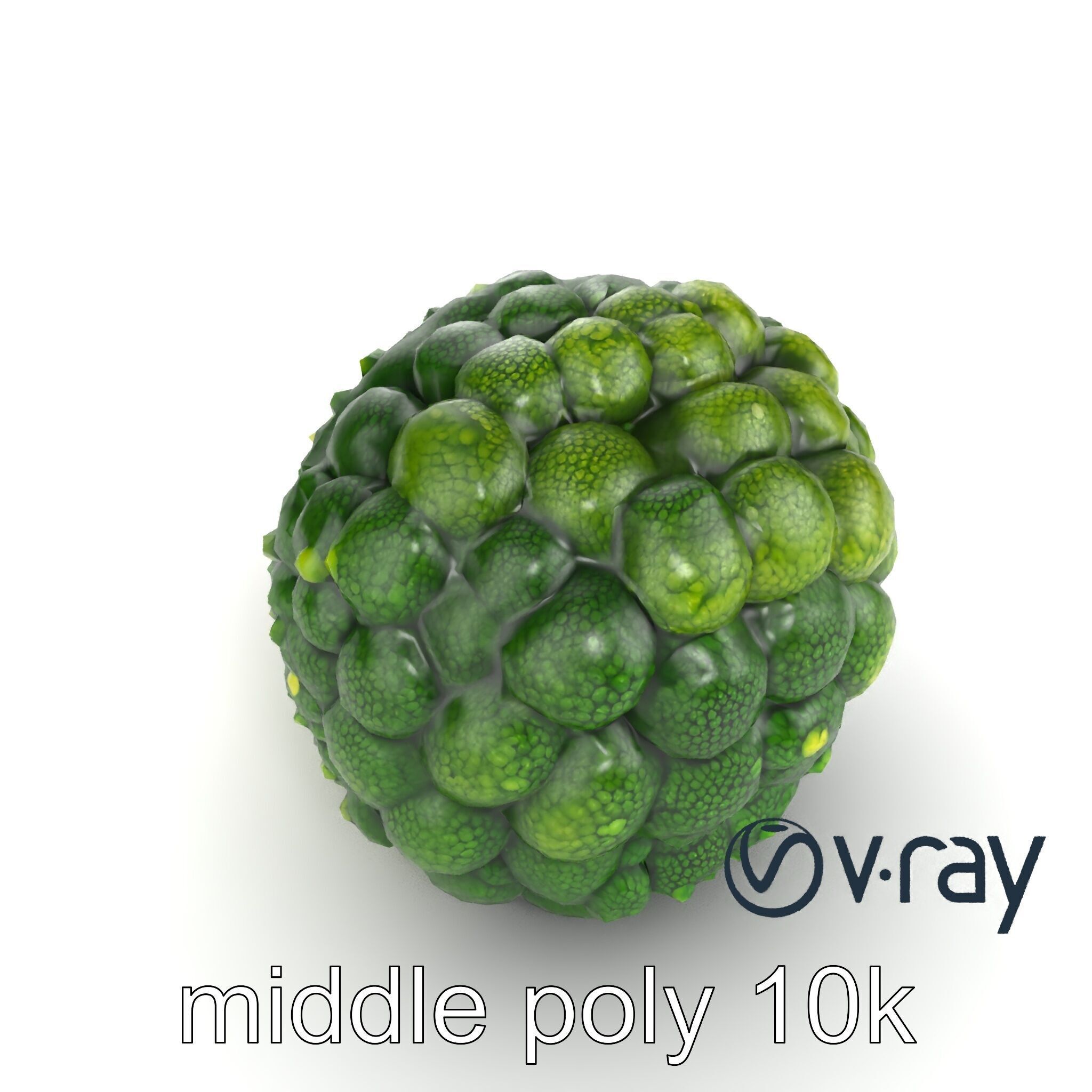 Detailed Green Broccoli Model Pack Low-poly 3D model_7