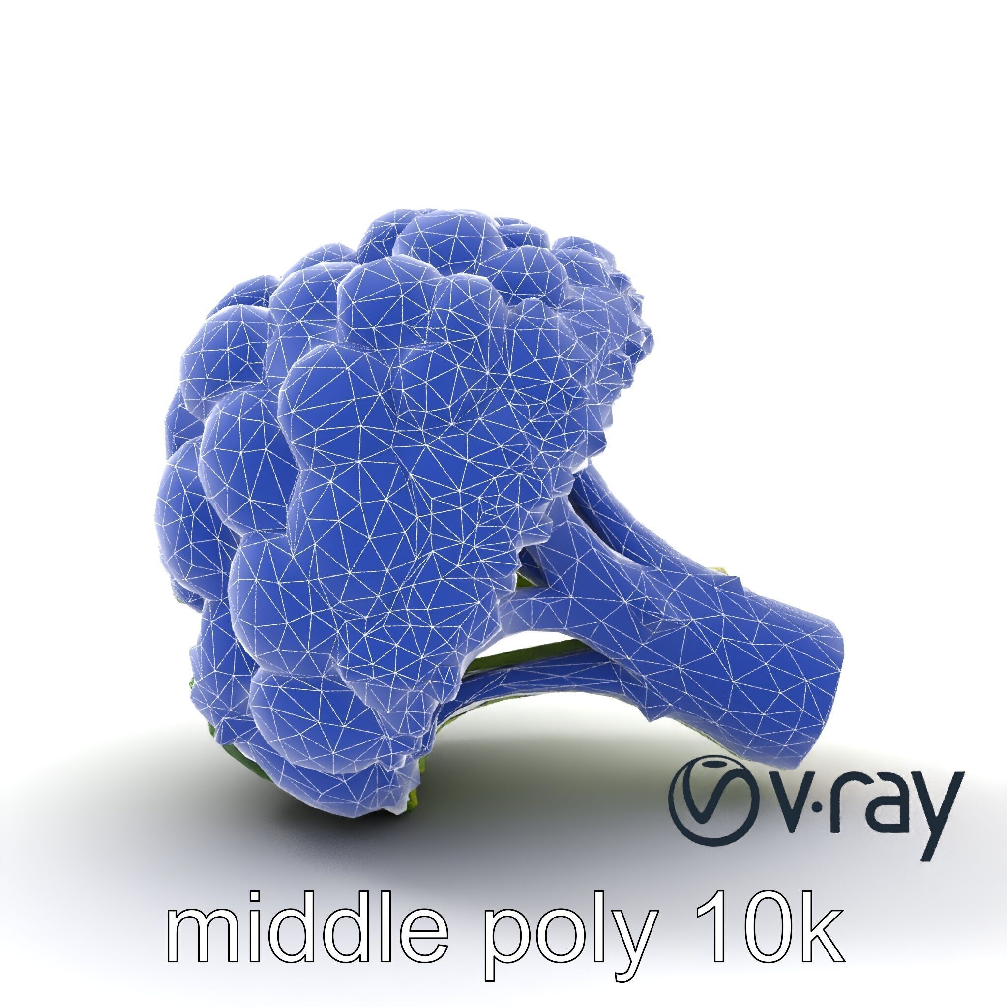 Detailed Green Broccoli Model Pack Low-poly 3D model_17