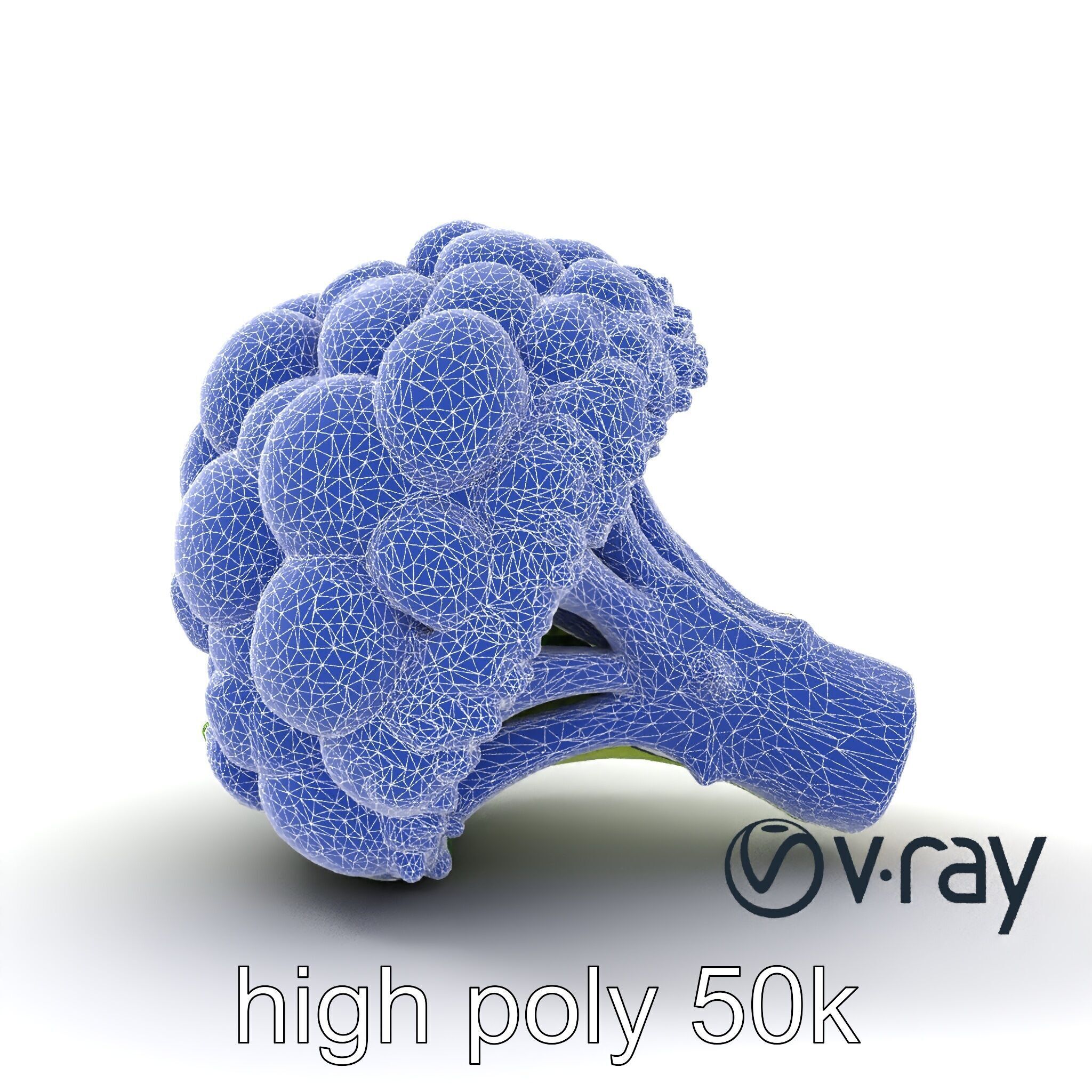 Detailed Green Broccoli Model Pack Low-poly 3D model_31