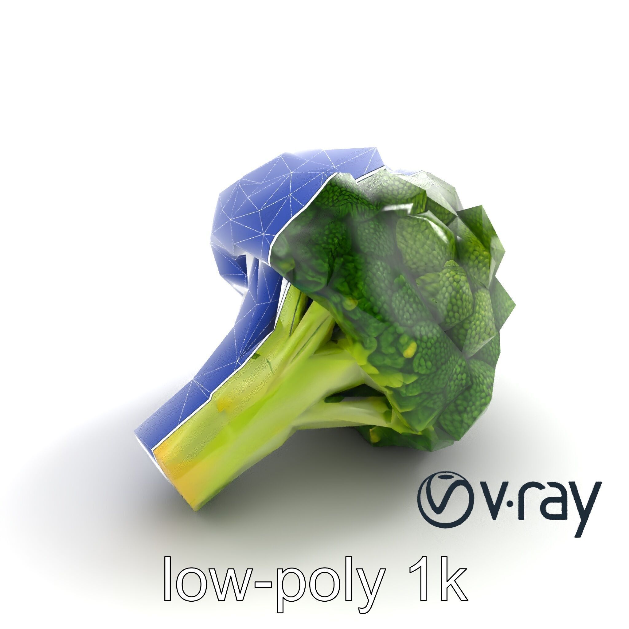 Detailed Green Broccoli Model Pack Low-poly 3D model_15