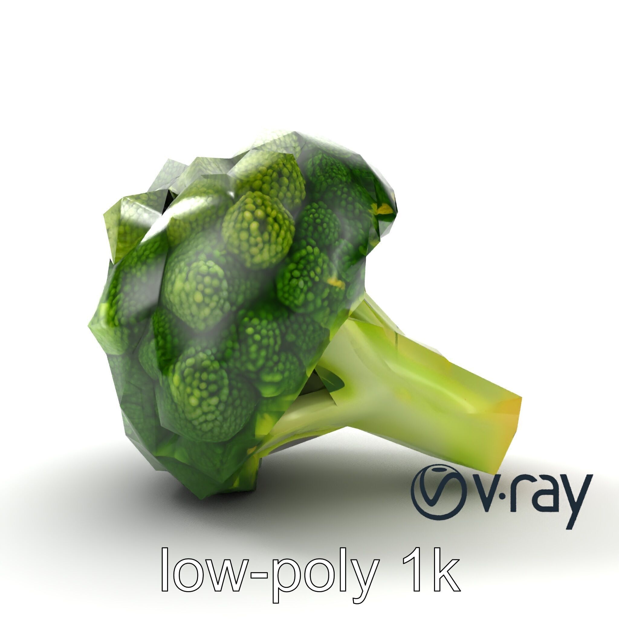 Detailed Green Broccoli Model Pack Low-poly 3D model_12