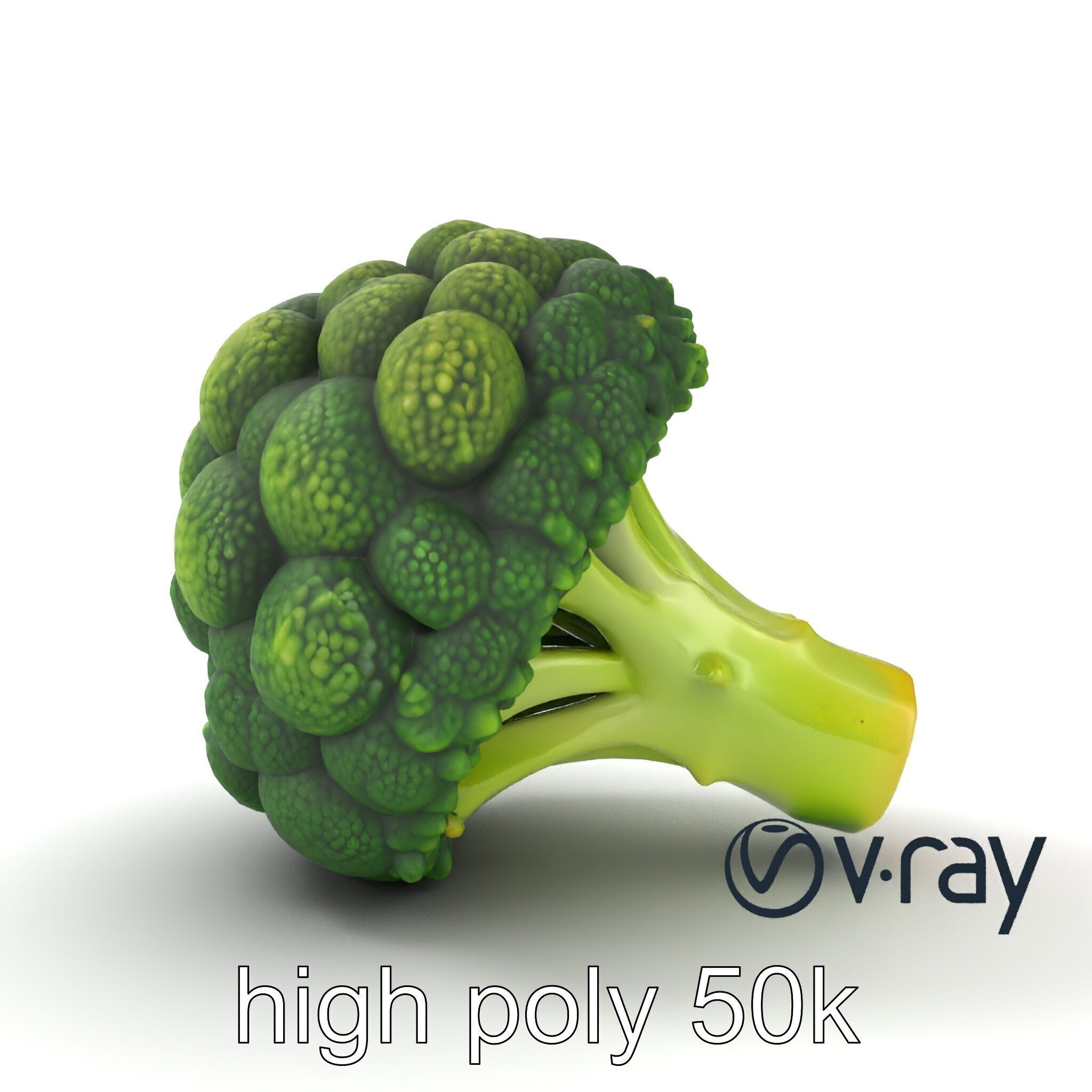 Detailed Green Broccoli Model Pack Low-poly 3D model_19