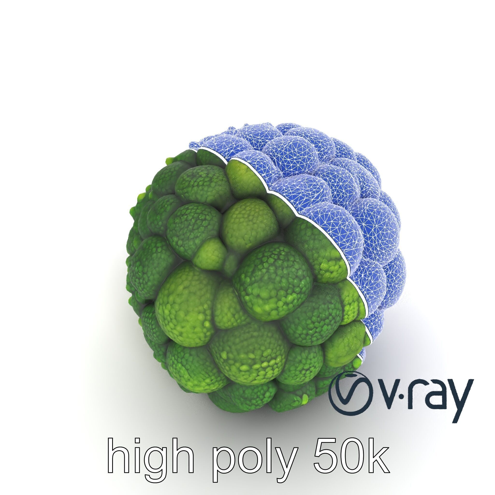 Detailed Green Broccoli Model Pack Low-poly 3D model_21