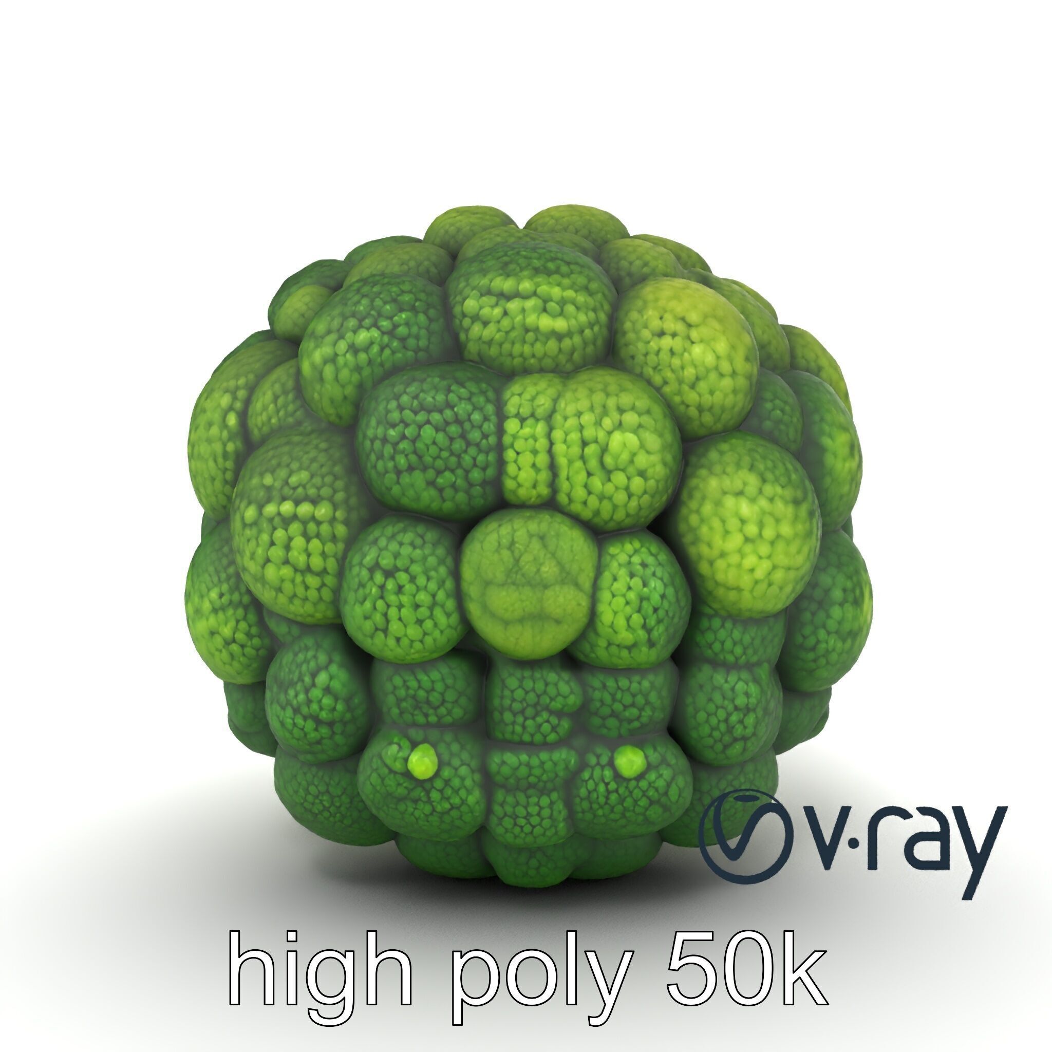 Detailed Green Broccoli Model Pack Low-poly 3D model_18
