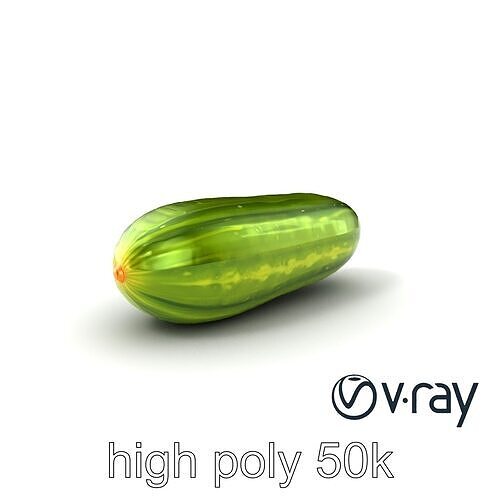 Fresh Cucumber Vegetable model pack Low-poly 3D model 7