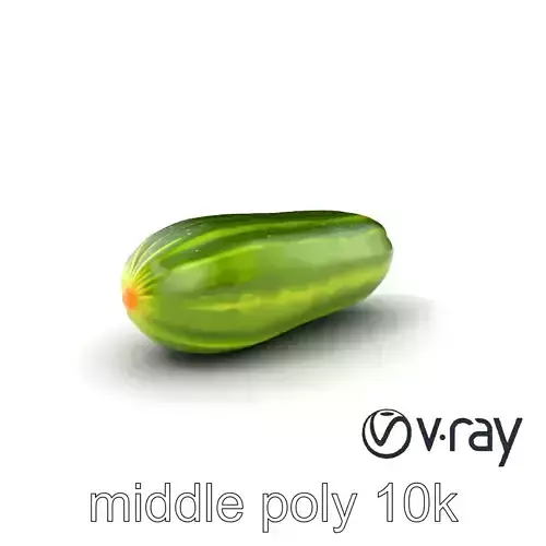 Fresh Cucumber Vegetable model pack