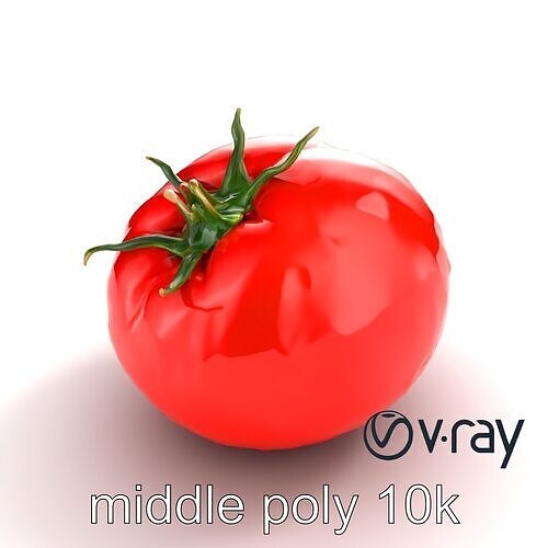 Realistic Shiny Red Tomato model pack Low-poly 3D model 5