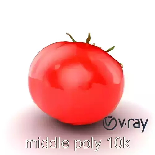 Realistic Shiny Red Tomato model pack Low-poly 3D model