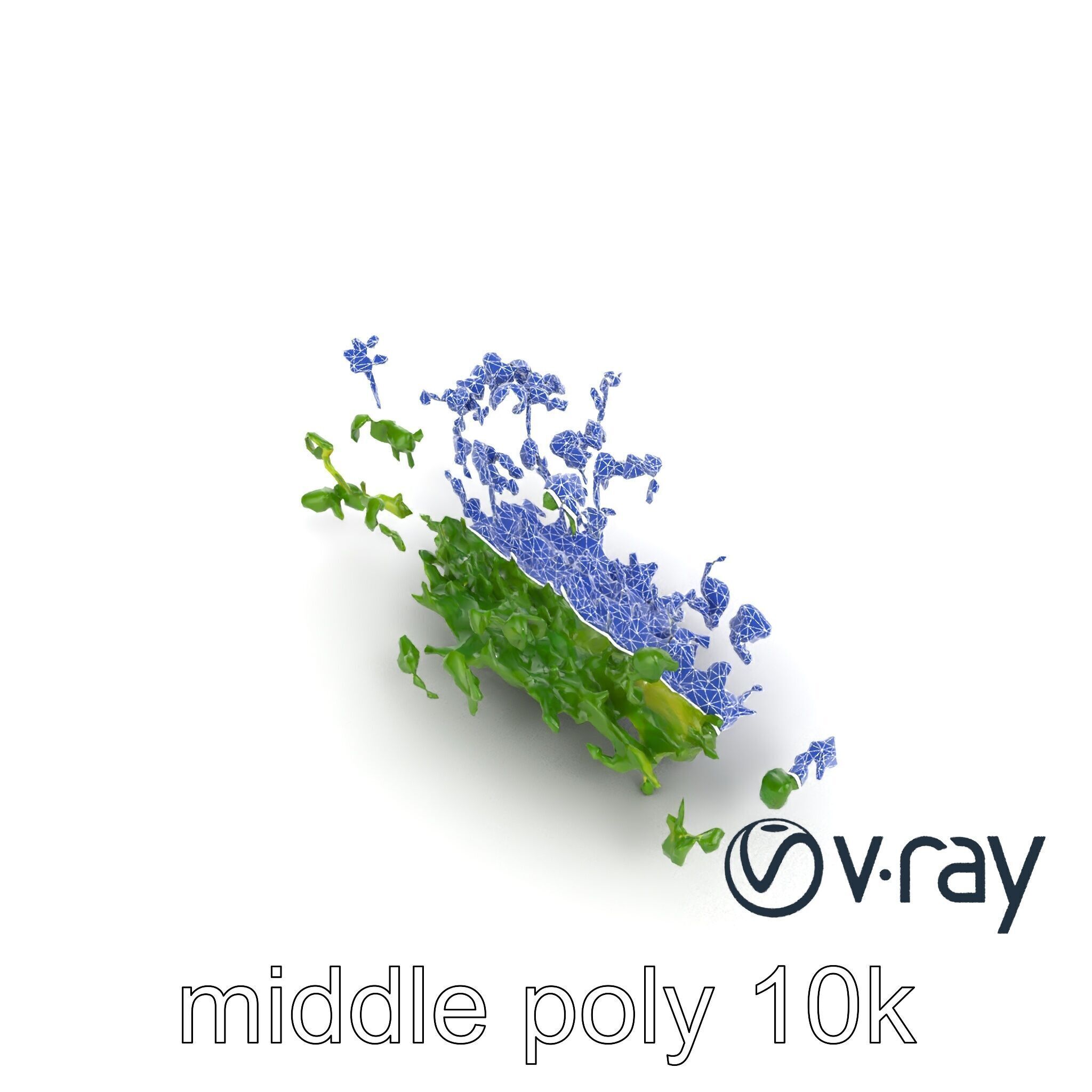 Fresh Watercress Leaf Textures model pack Low-poly 3D model_29