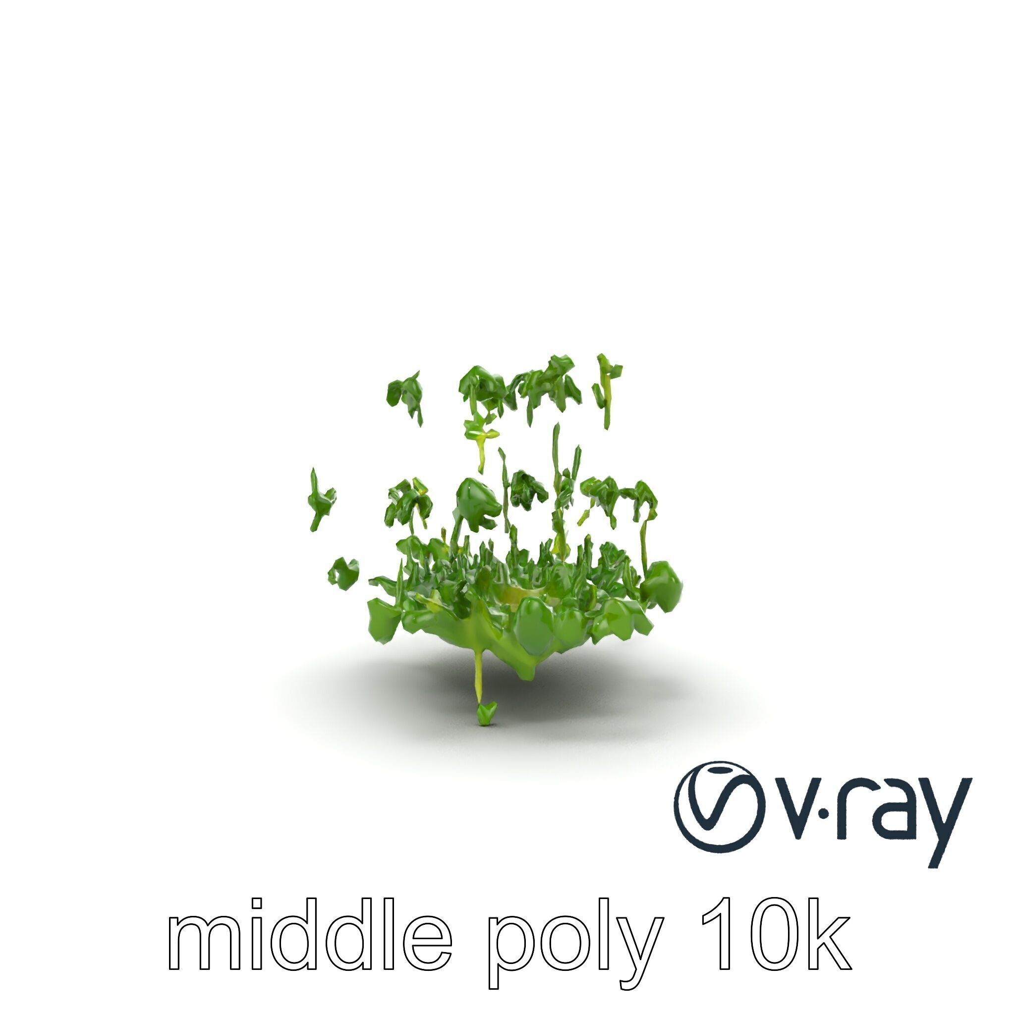 Fresh Watercress Leaf Textures model pack Low-poly 3D model_16