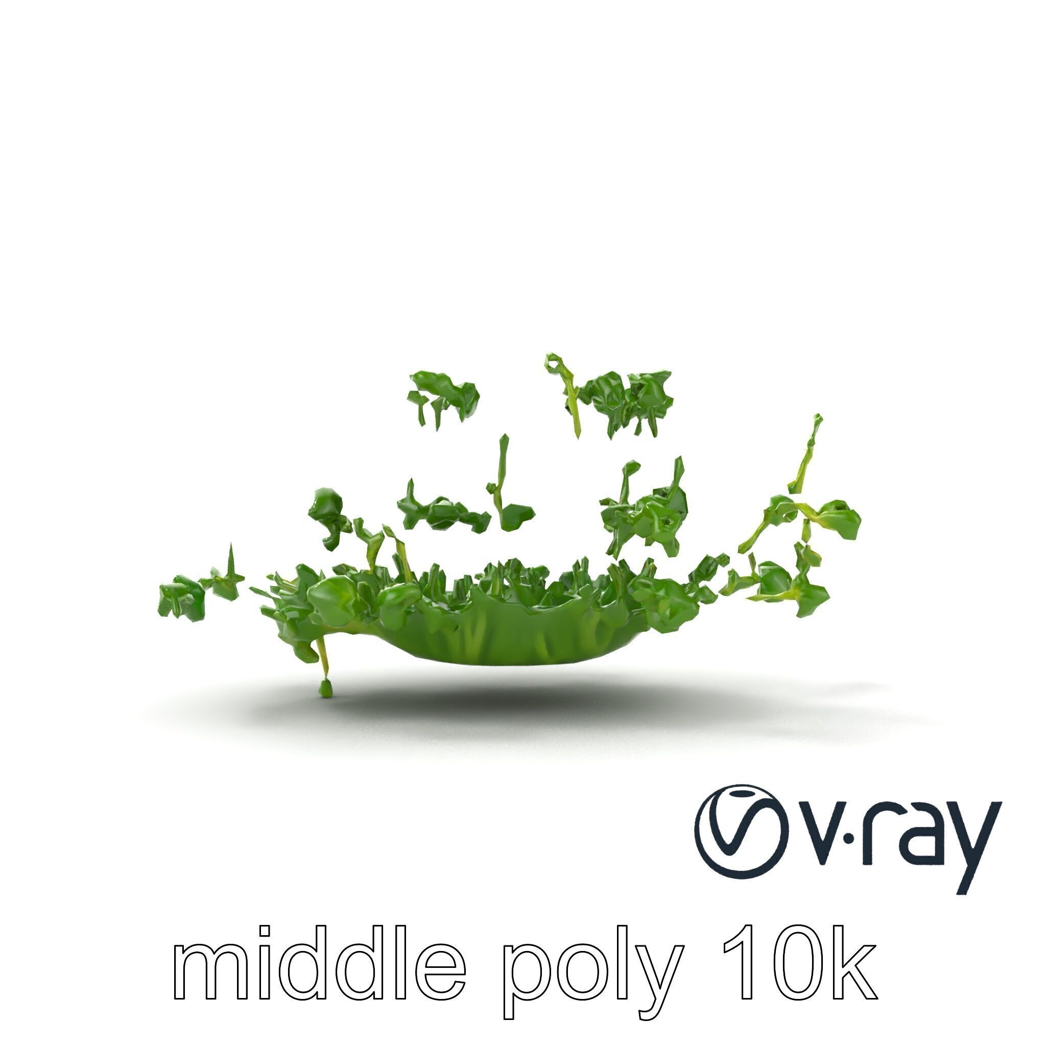 Fresh Watercress Leaf Textures model pack Low-poly 3D model_14