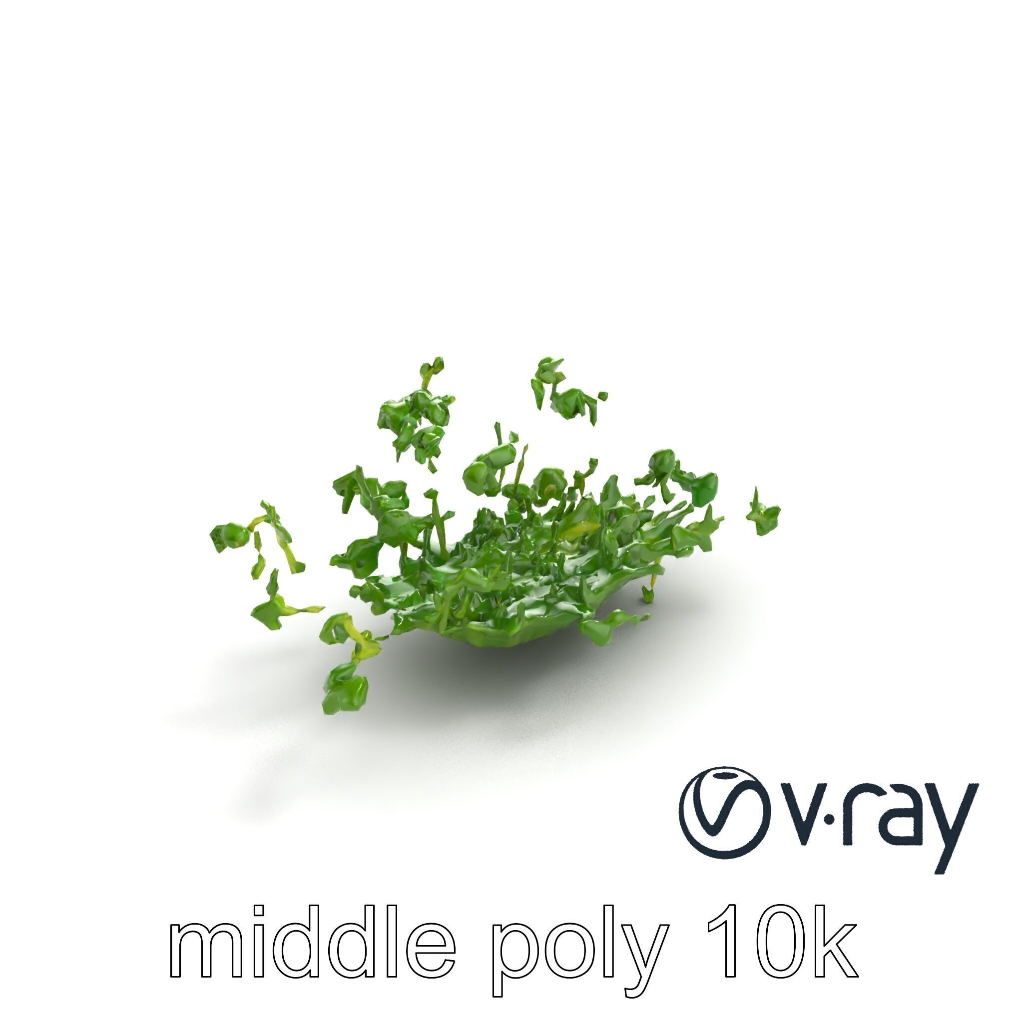 Fresh Watercress Leaf Textures model pack Low-poly 3D model_4