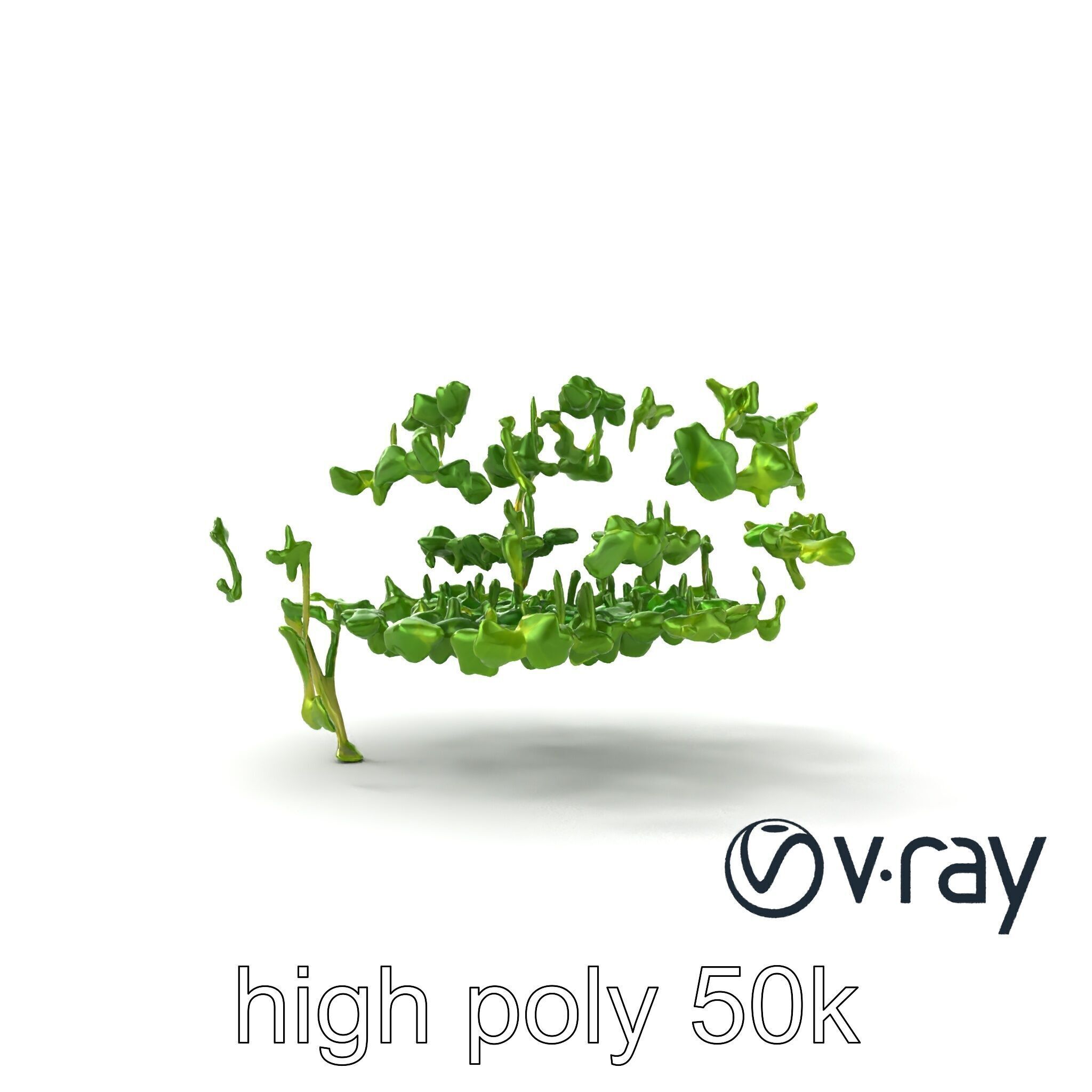 Fresh Watercress Leaf Textures model pack Low-poly 3D model_12