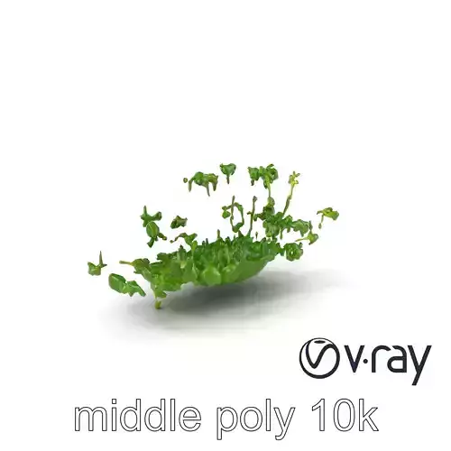 Fresh Watercress Leaf Textures model pack Low-poly 3D model