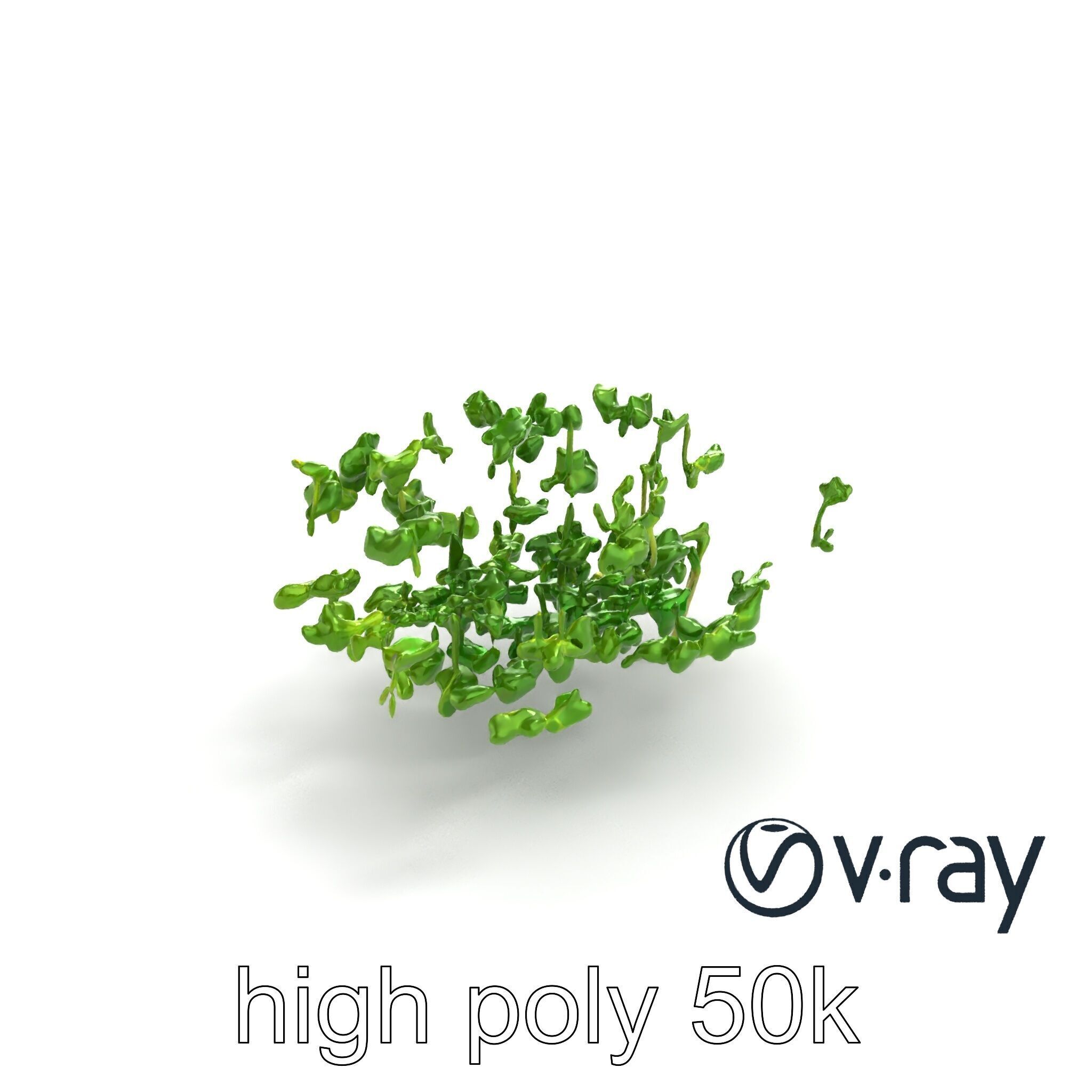 Fresh Watercress Leaf Textures model pack Low-poly 3D model_9