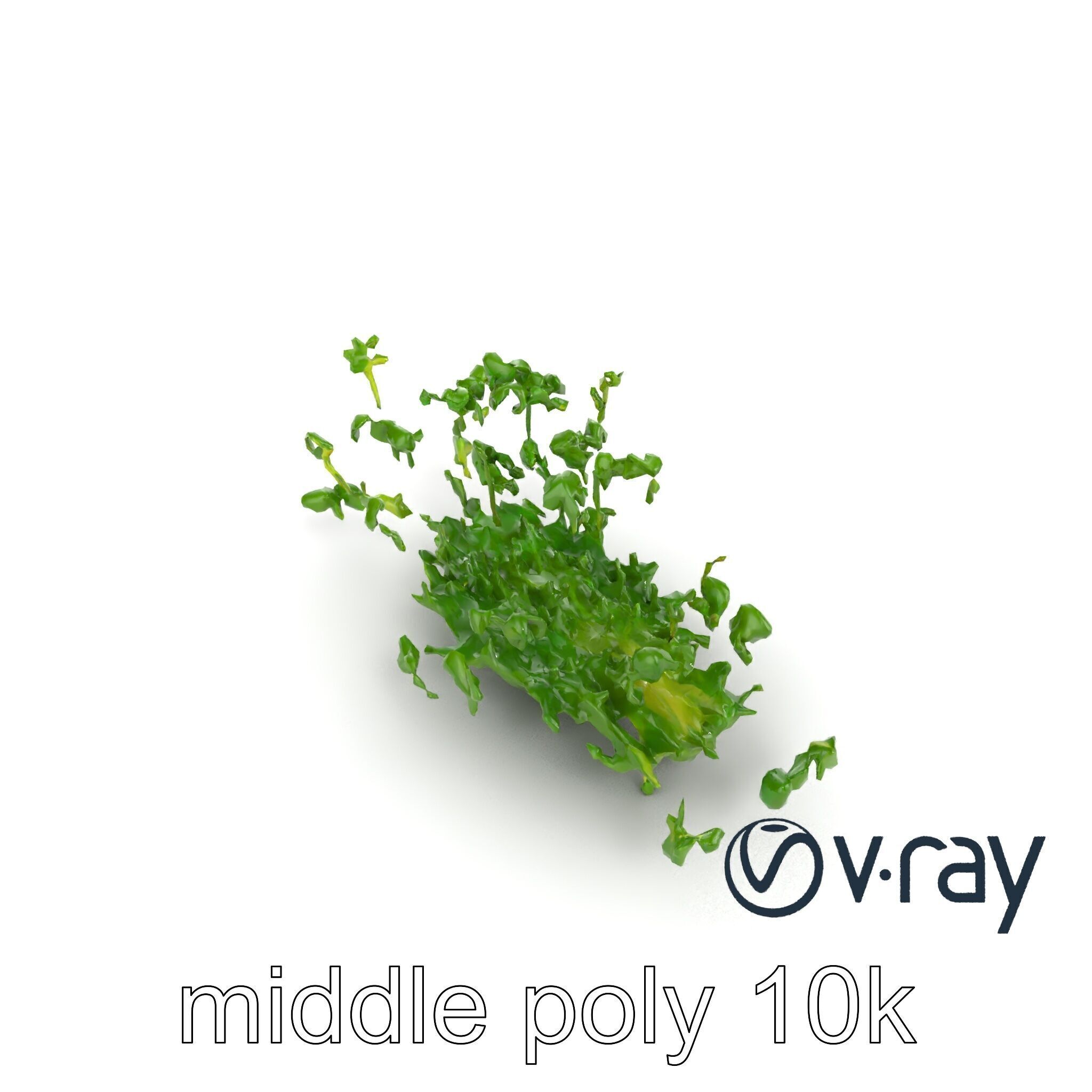 Fresh Watercress Leaf Textures model pack Low-poly 3D model_7