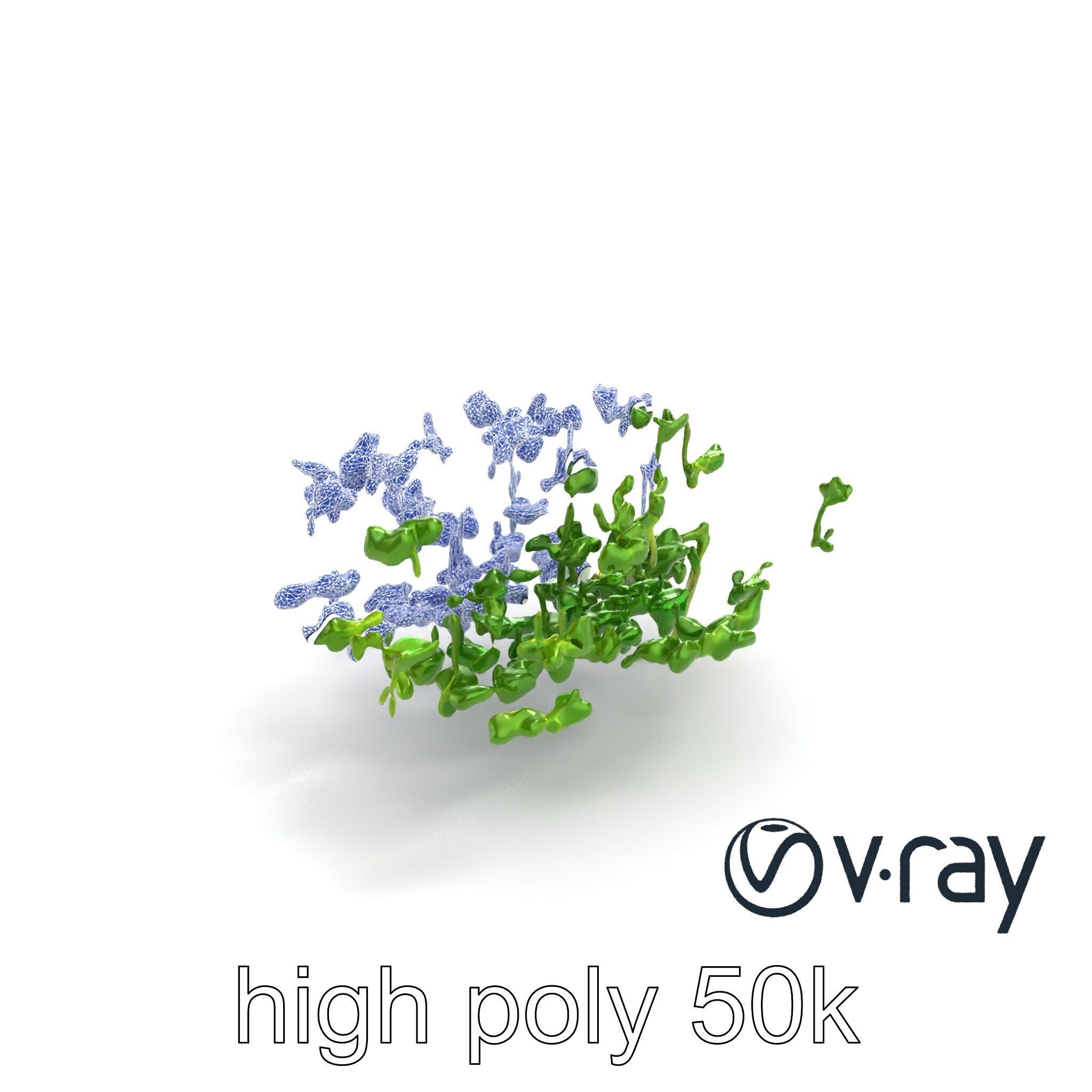 Fresh Watercress Leaf Textures model pack Low-poly 3D model_22