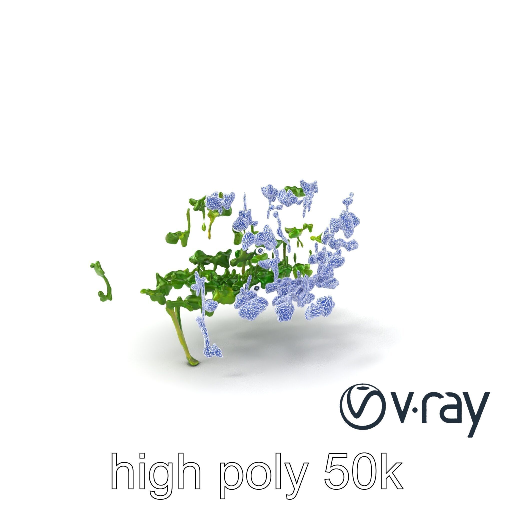 Fresh Watercress Leaf Textures model pack Low-poly 3D model_17