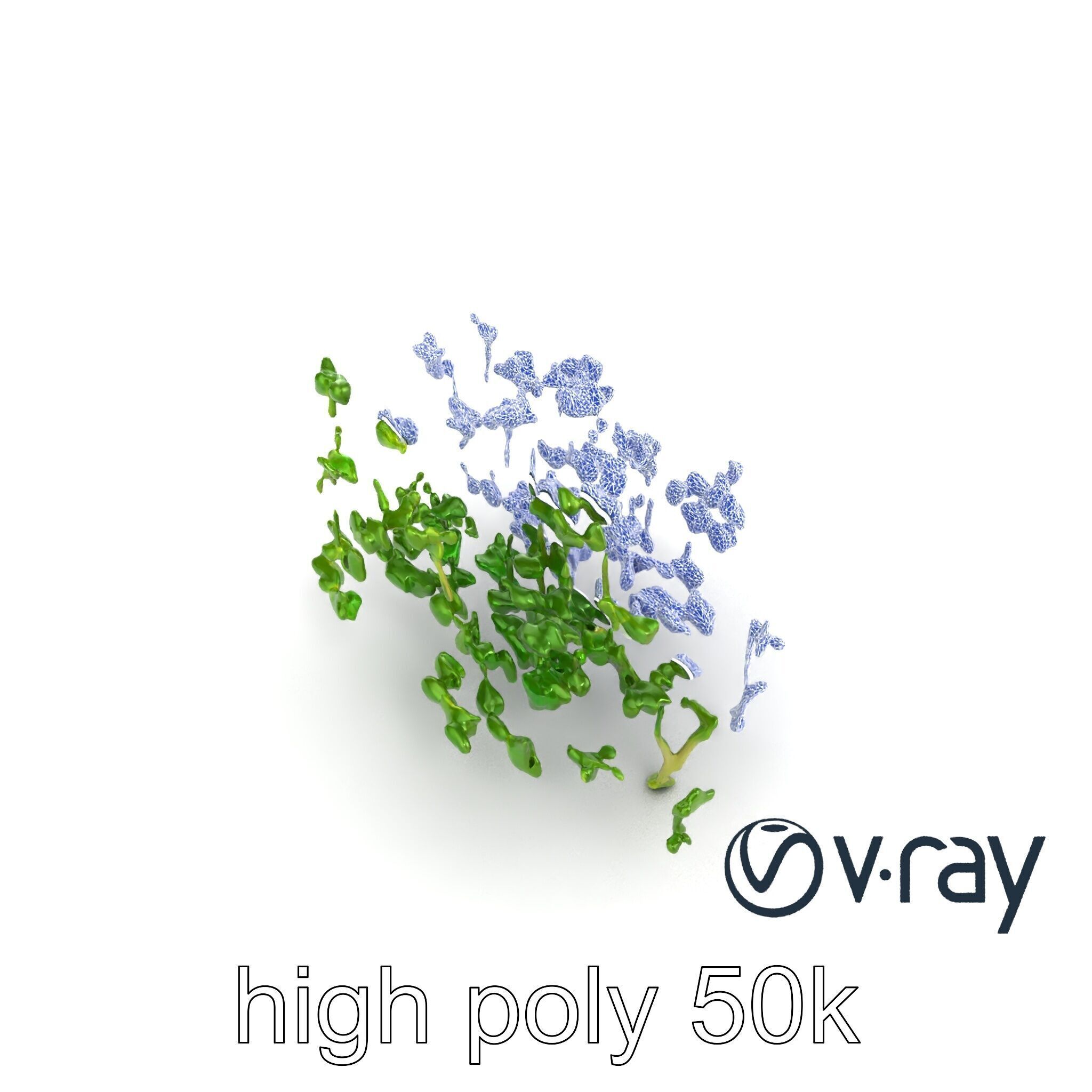 Fresh Watercress Leaf Textures model pack Low-poly 3D model_28