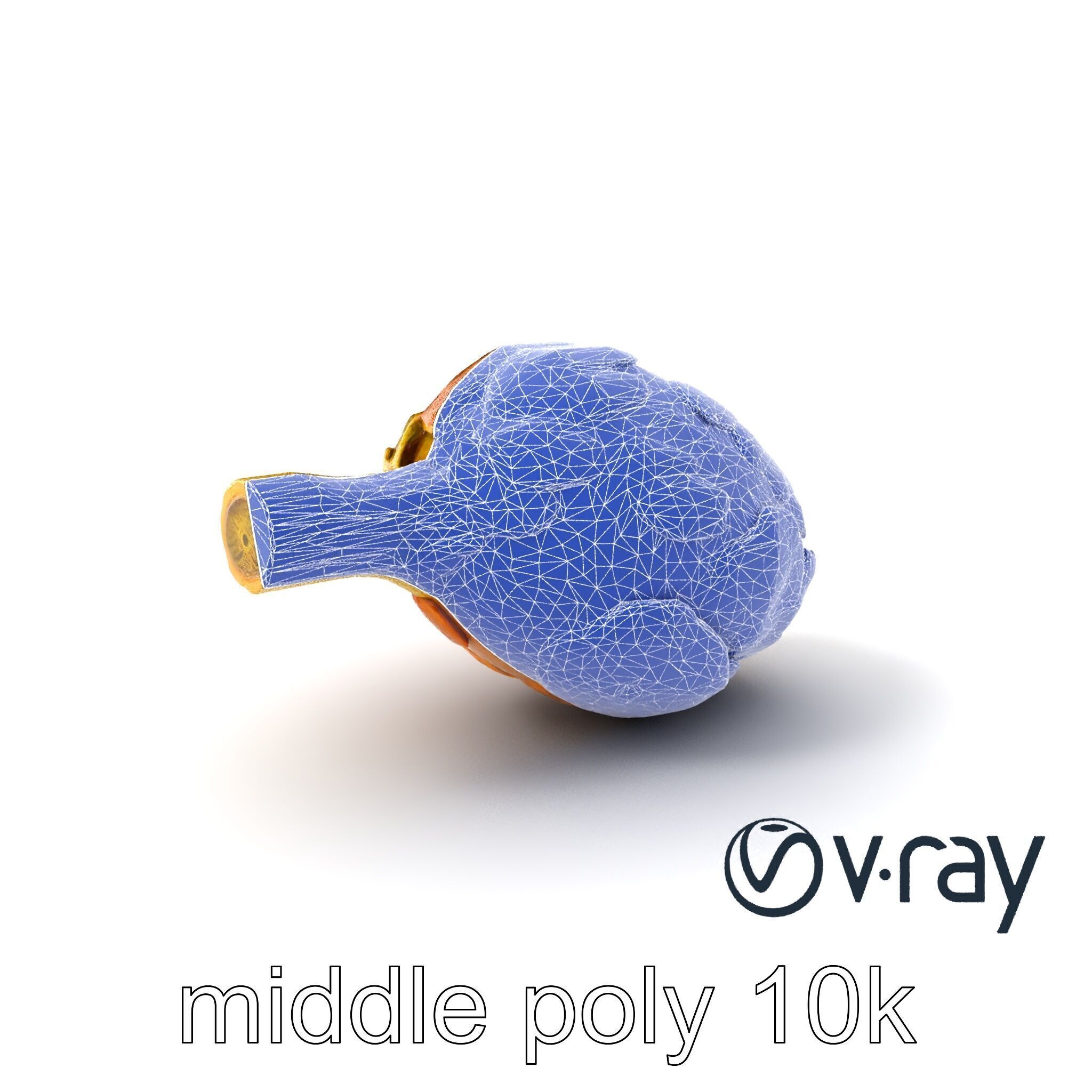 Realistic Jerusalem Artichoke High Detail model pack Low-poly 3D model_7