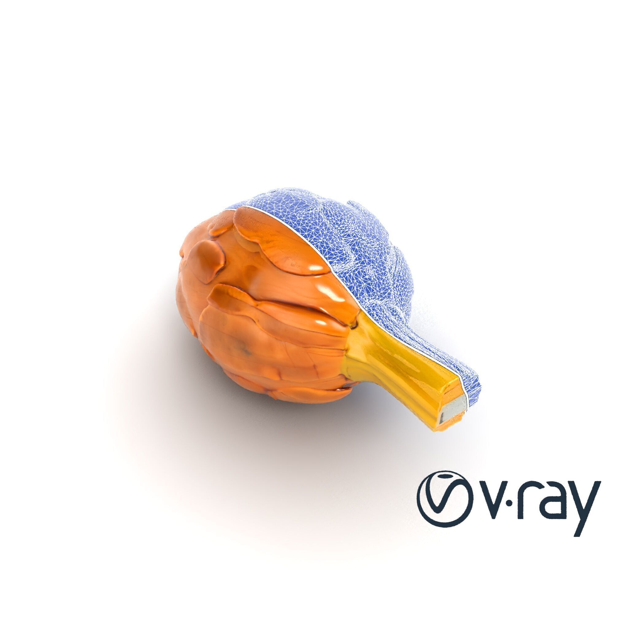 Realistic Jerusalem Artichoke High Detail model pack Low-poly 3D model_26