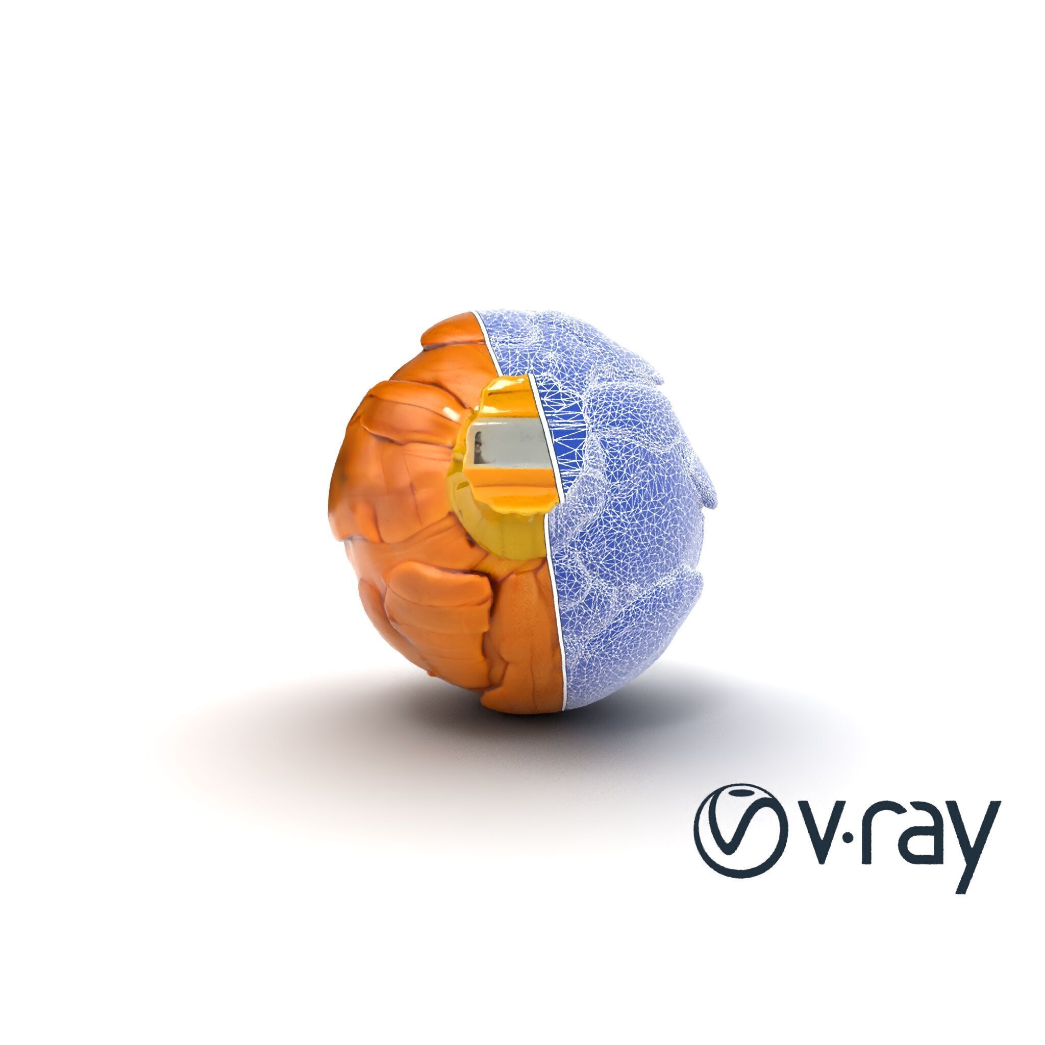 Realistic Jerusalem Artichoke High Detail model pack Low-poly 3D model_20