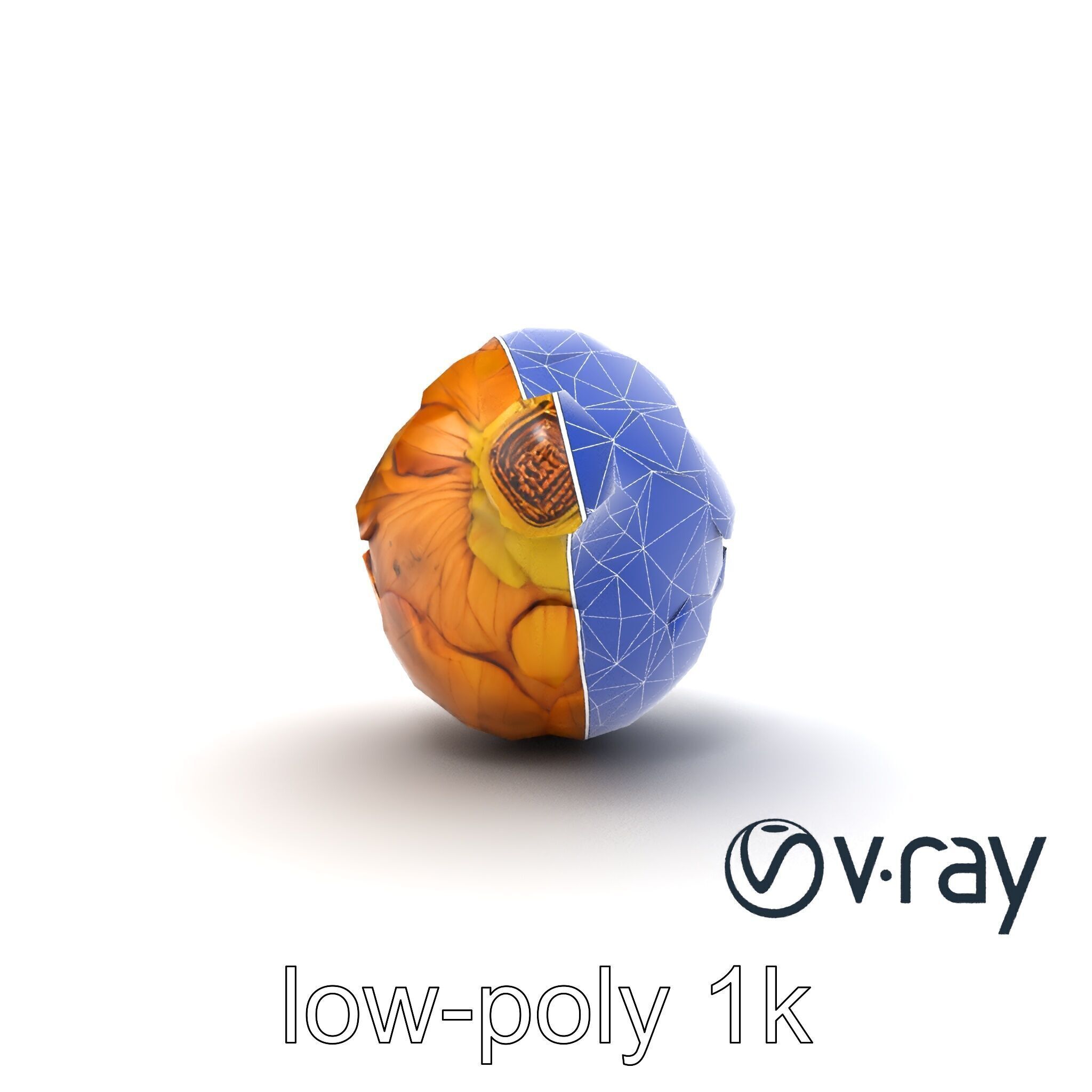 Realistic Jerusalem Artichoke High Detail model pack Low-poly 3D model_27