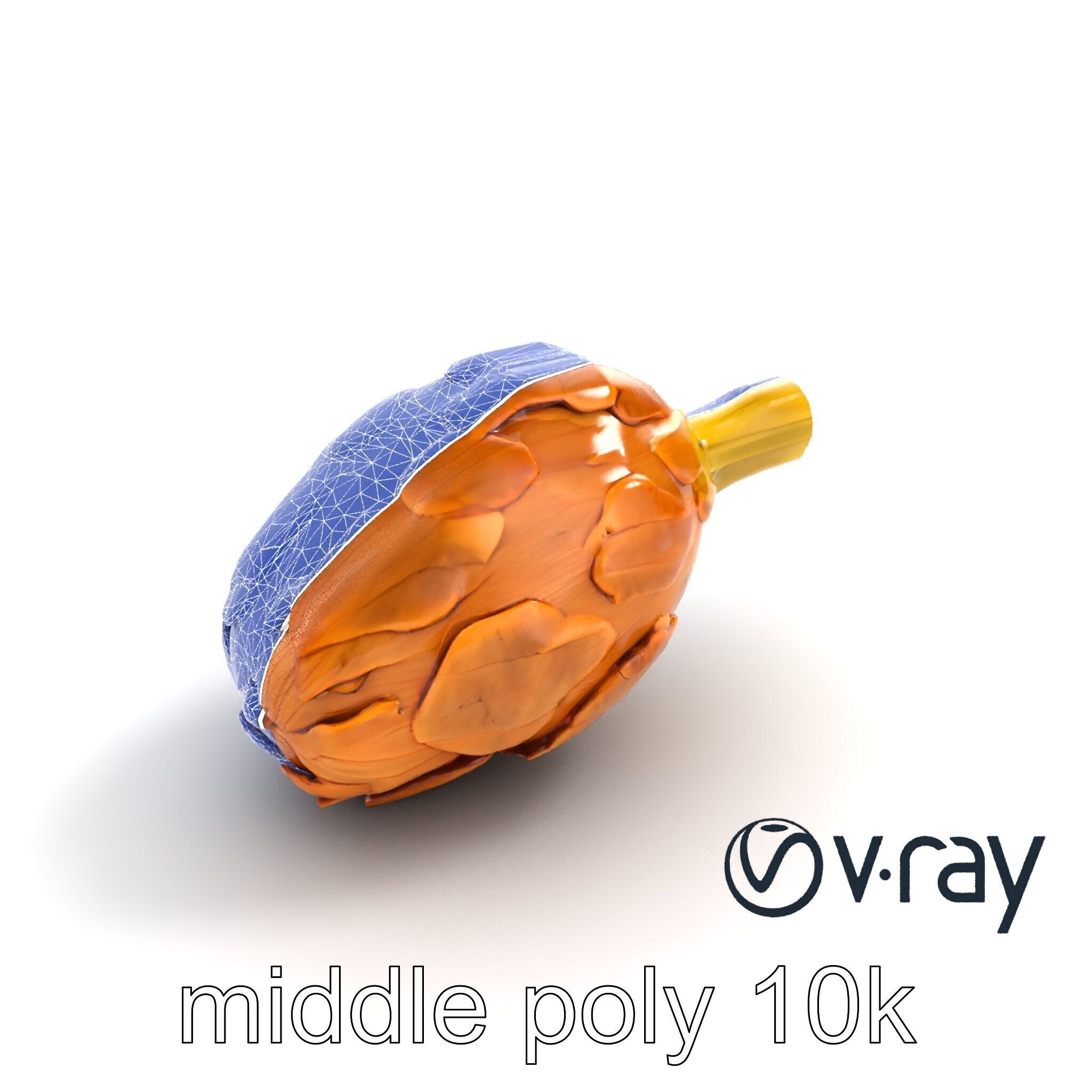 Realistic Jerusalem Artichoke High Detail model pack Low-poly 3D model_10