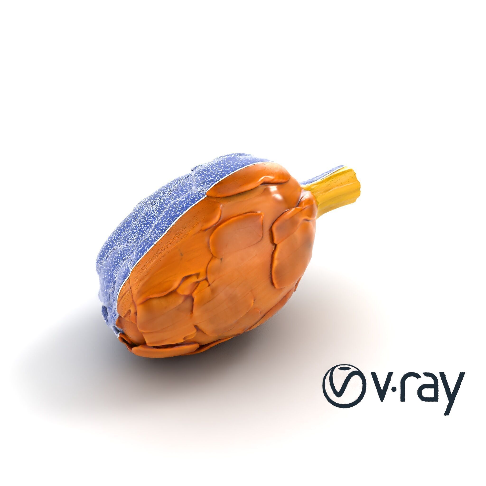 Realistic Jerusalem Artichoke High Detail model pack Low-poly 3D model_17