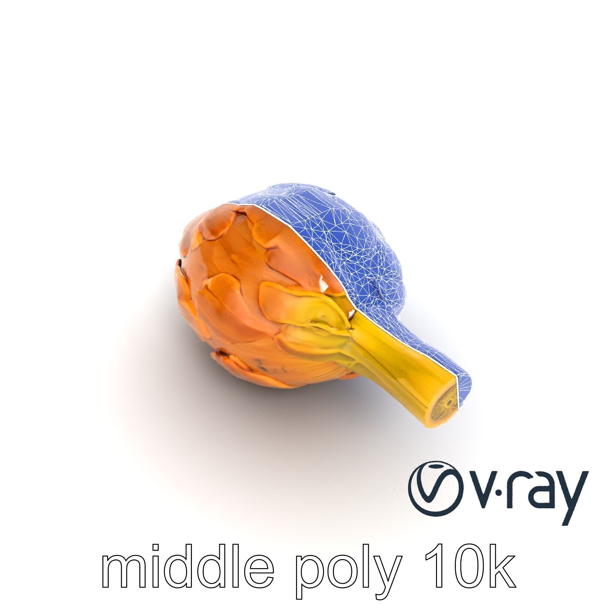 Realistic Jerusalem Artichoke High Detail model pack Low-poly 3D model_24