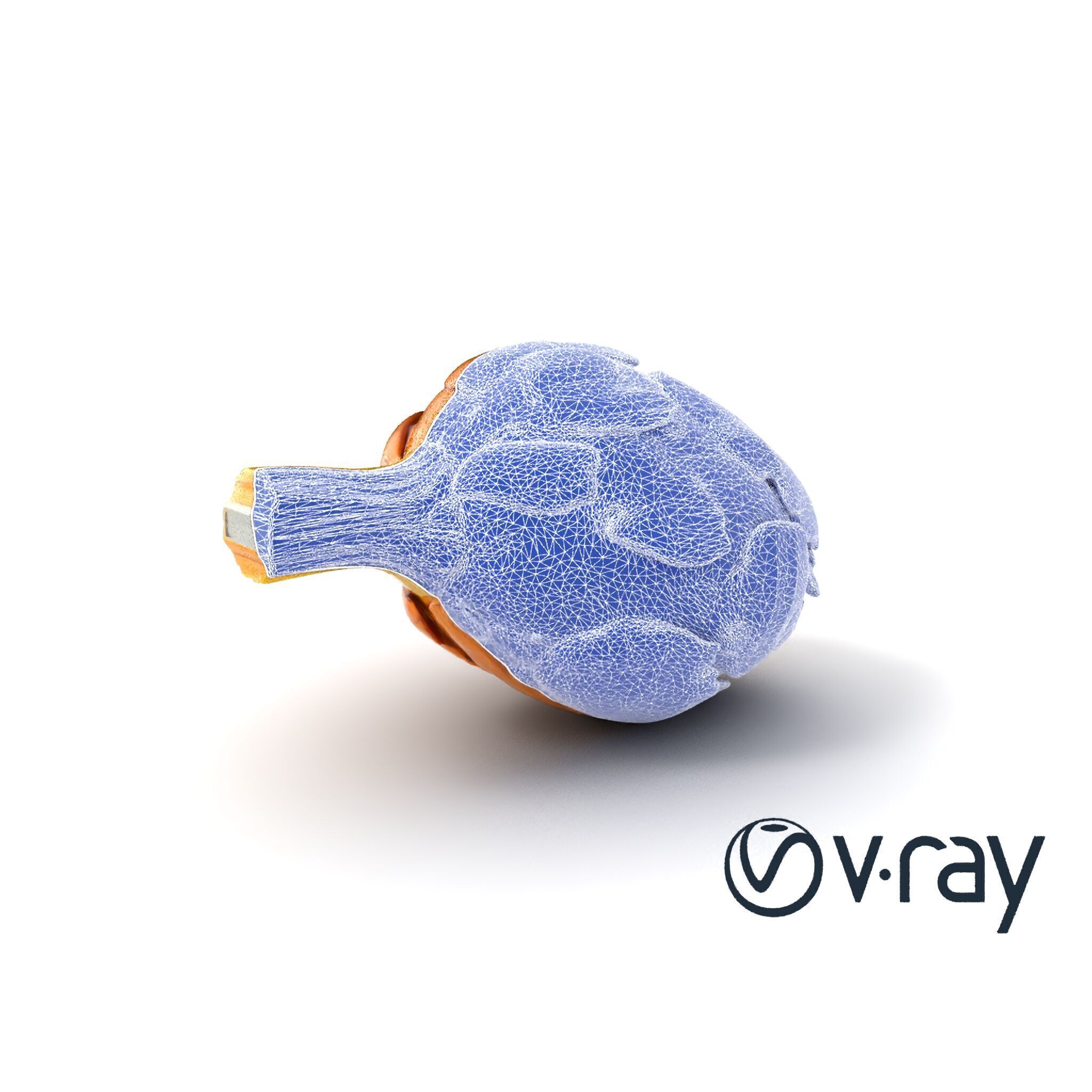 Realistic Jerusalem Artichoke High Detail model pack Low-poly 3D model_9