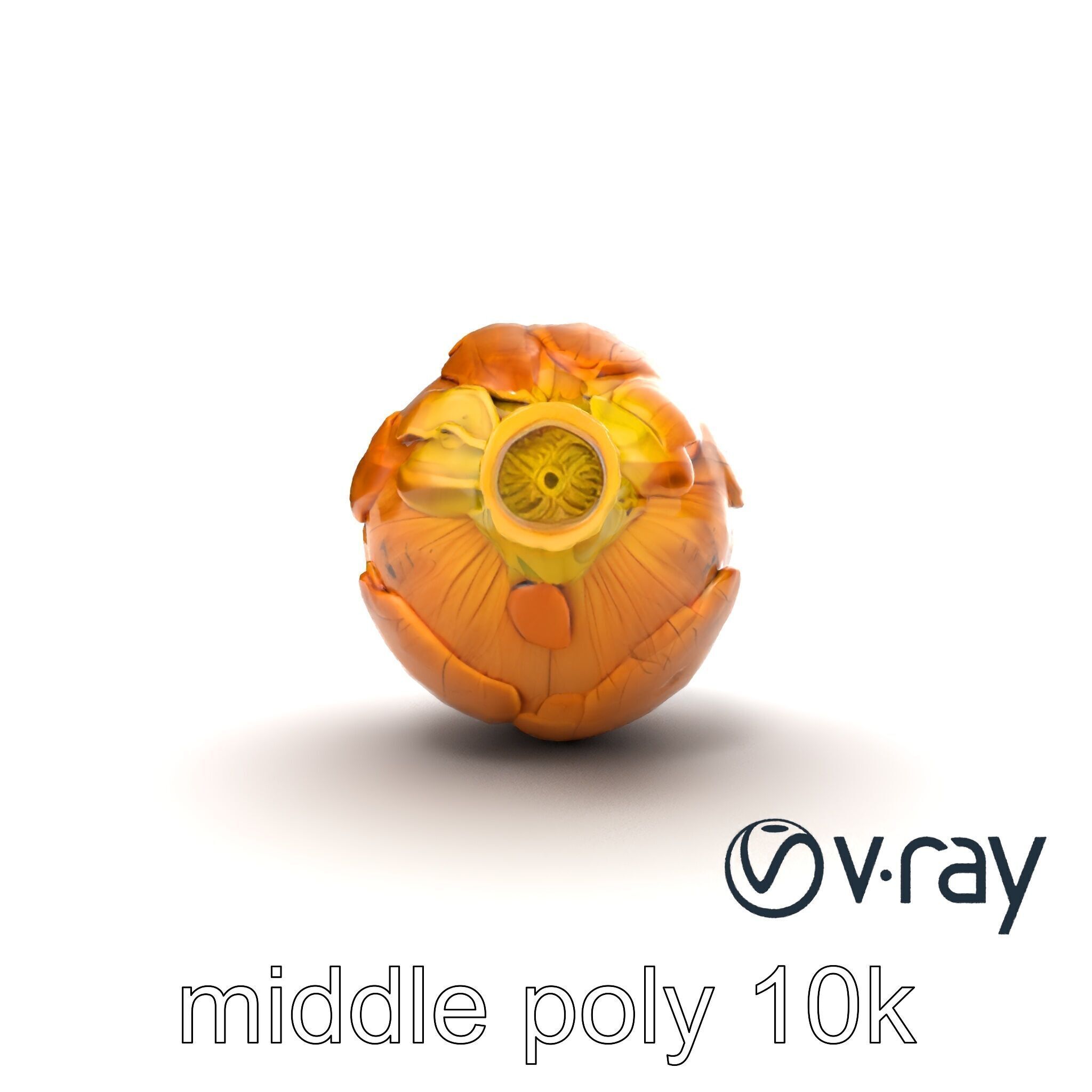 Realistic Jerusalem Artichoke High Detail model pack Low-poly 3D model_19