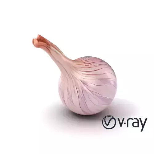 Elegant Shallot Model Pack with Detailed Texture Low-poly 3D model