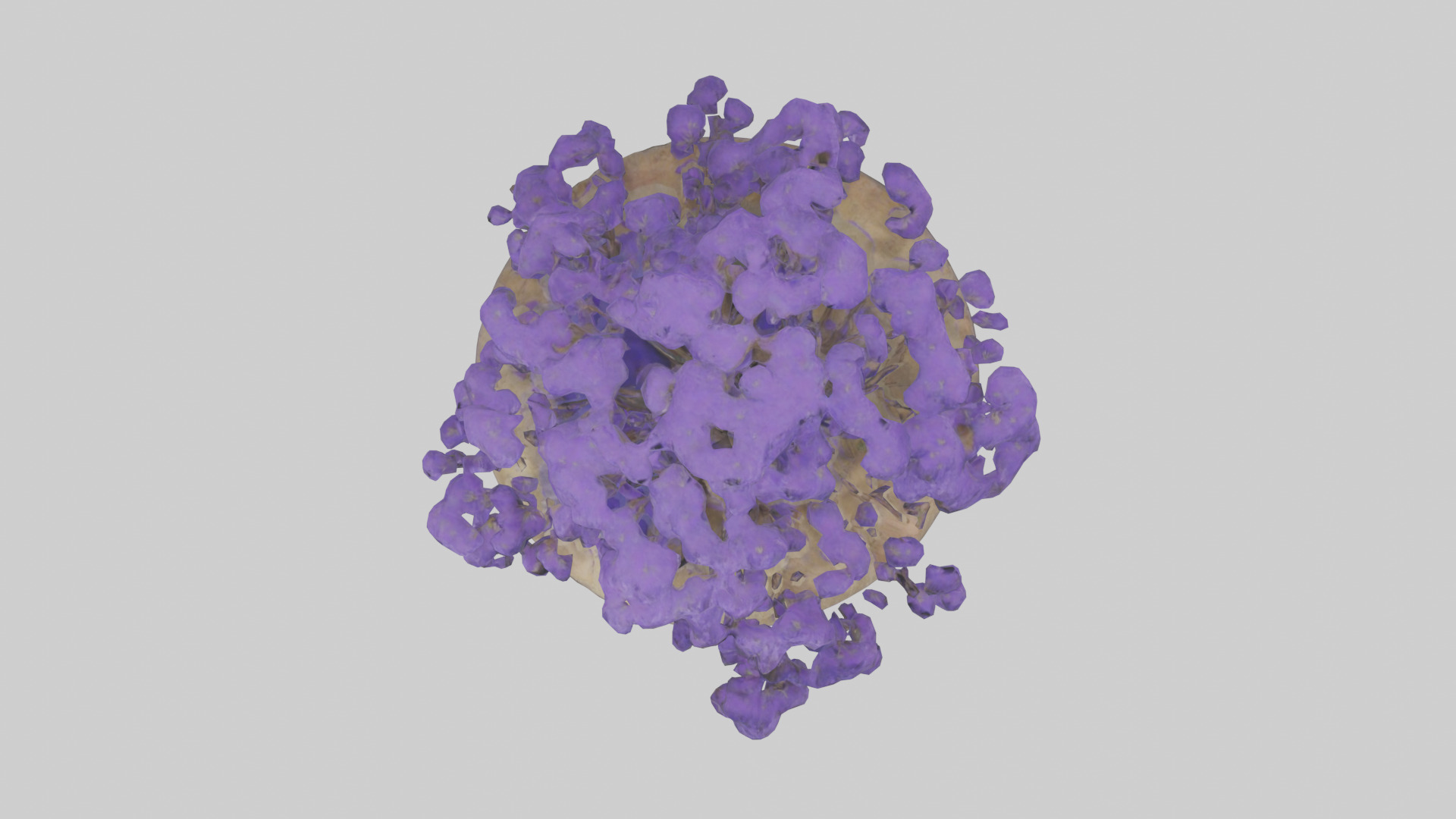 Jacaranda tree model Low-poly 3D model_14