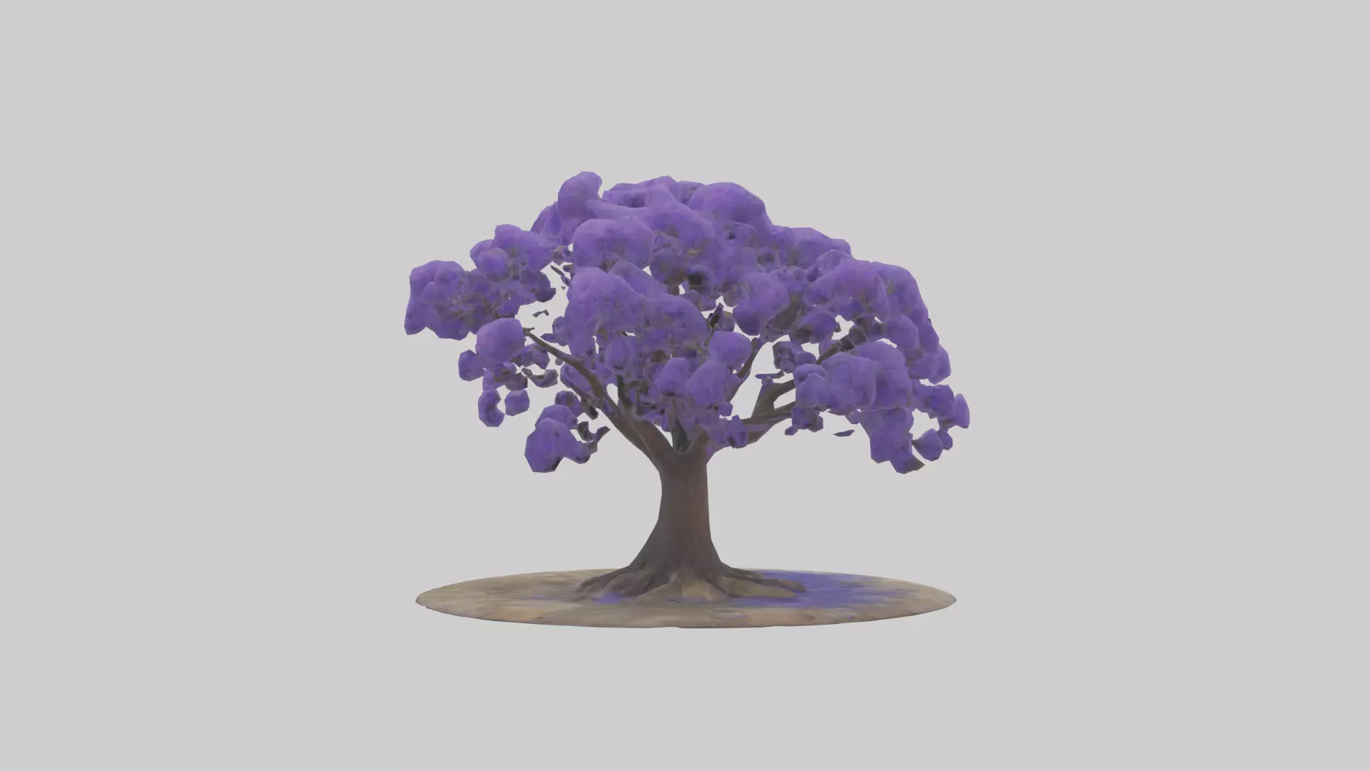 Jacaranda tree model Low-poly 3D model_0