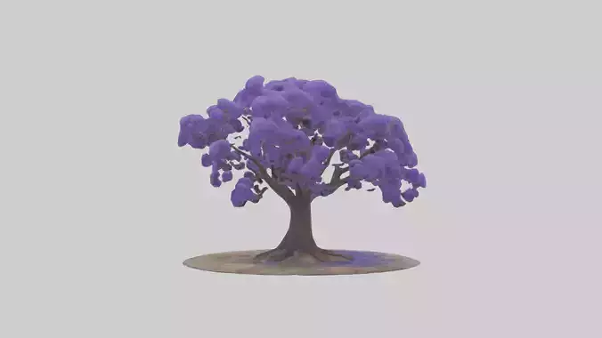 Jacaranda tree model
