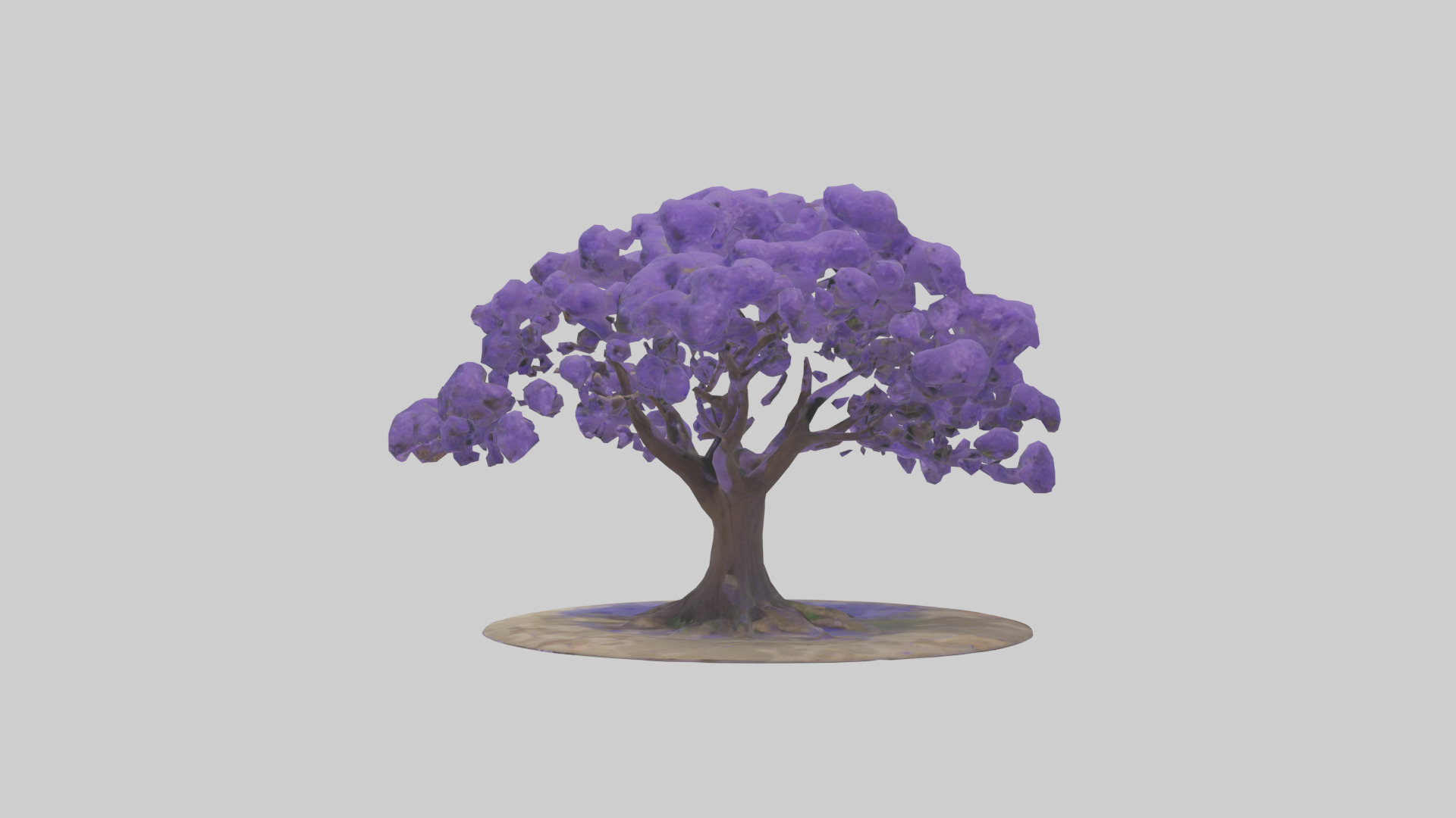 Jacaranda tree model Low-poly 3D model_12