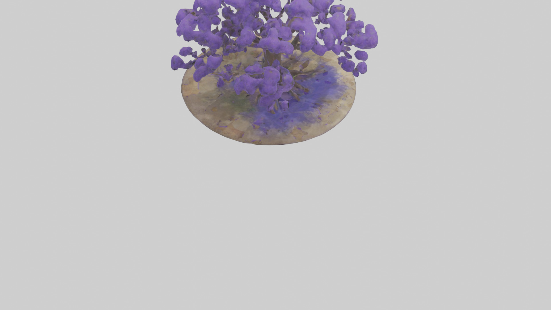 Jacaranda tree model Low-poly 3D model_4