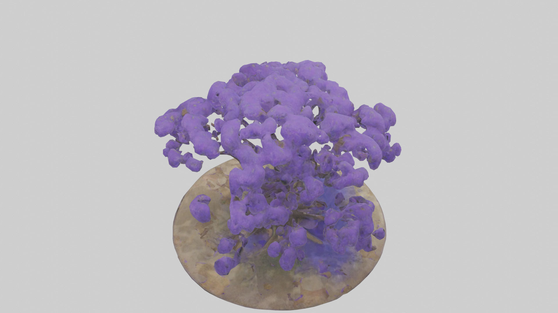 Jacaranda tree model Low-poly 3D model_15