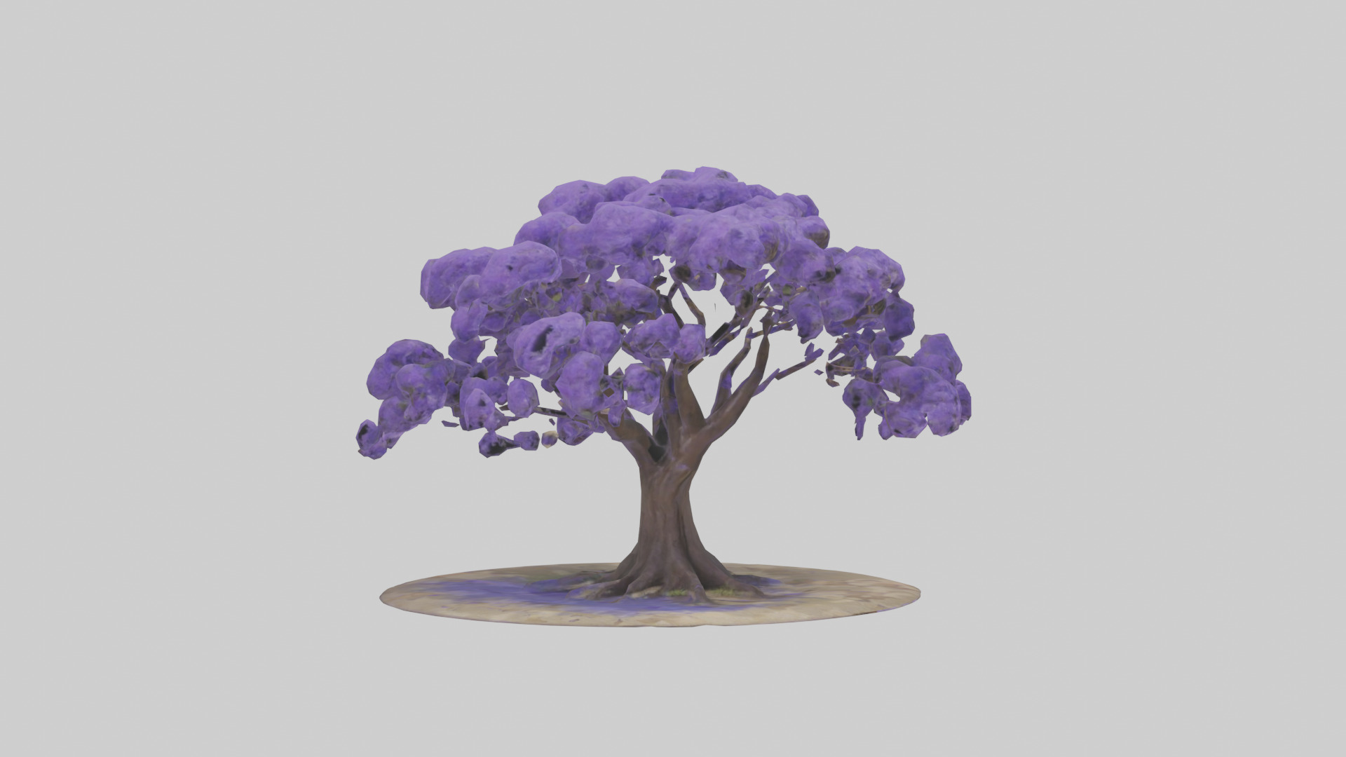 Jacaranda tree model Low-poly 3D model_7