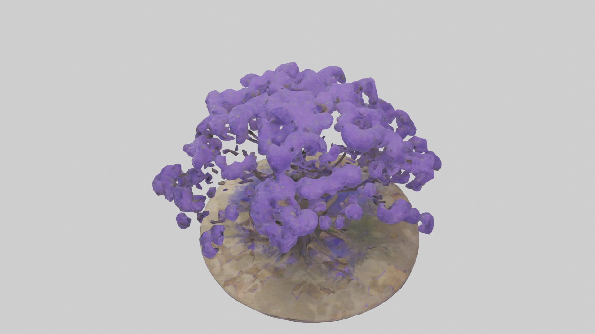 Jacaranda tree model Low-poly 3D model_17