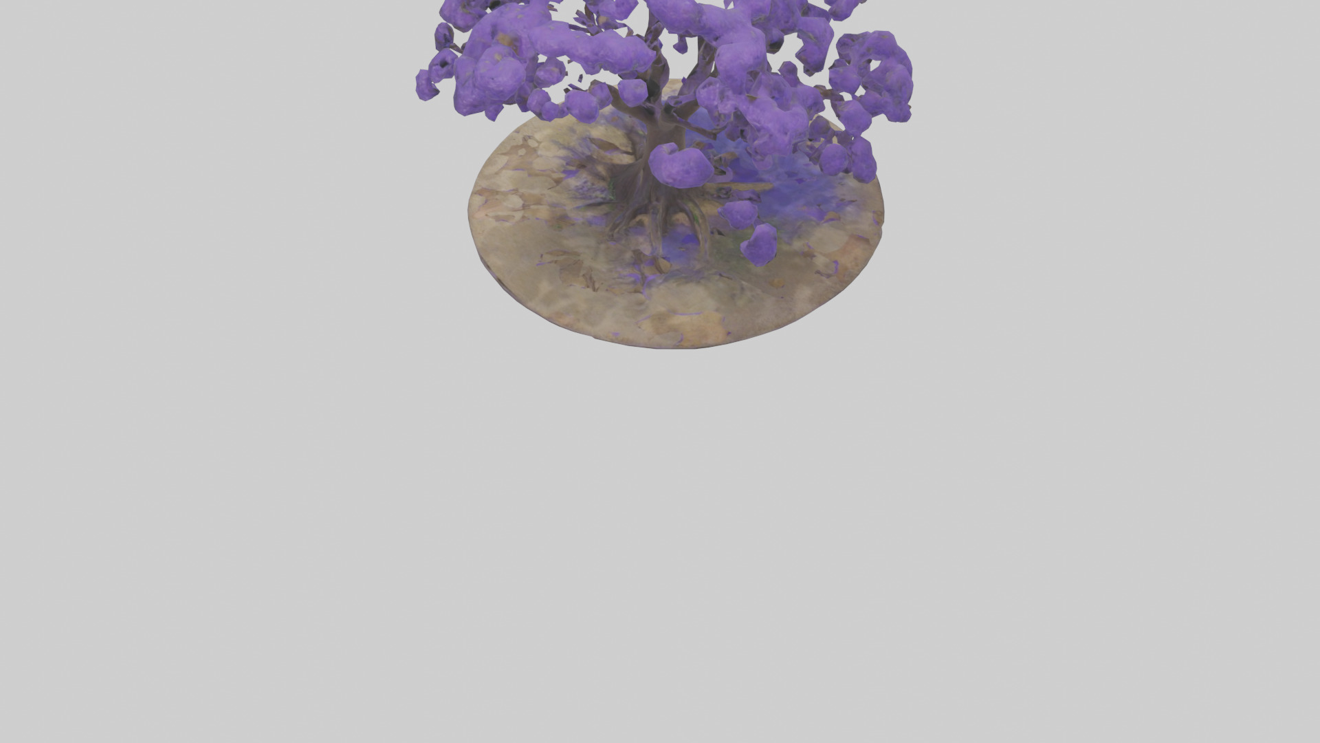 Jacaranda tree model Low-poly 3D model_3