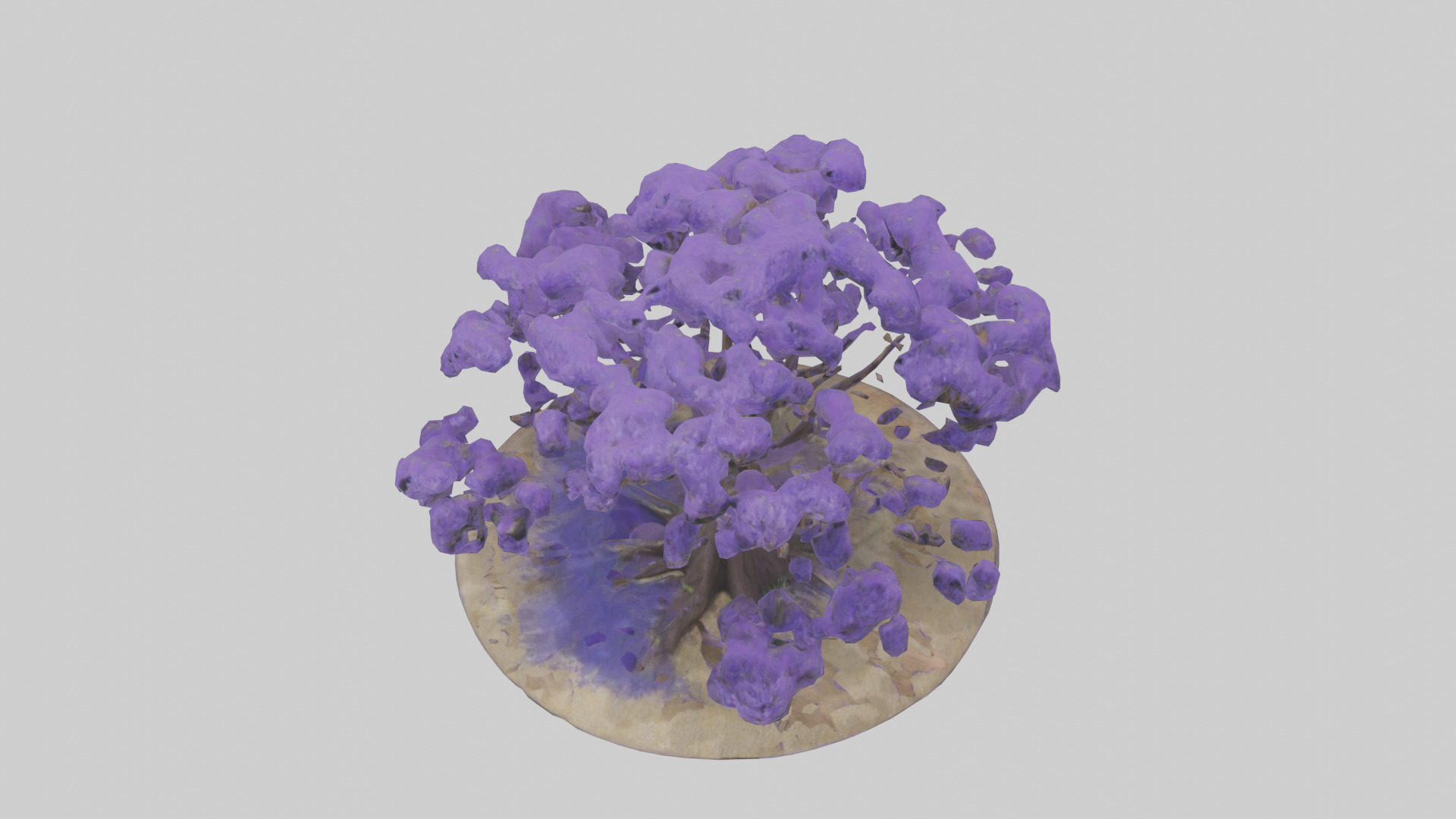 Jacaranda tree model Low-poly 3D model_16
