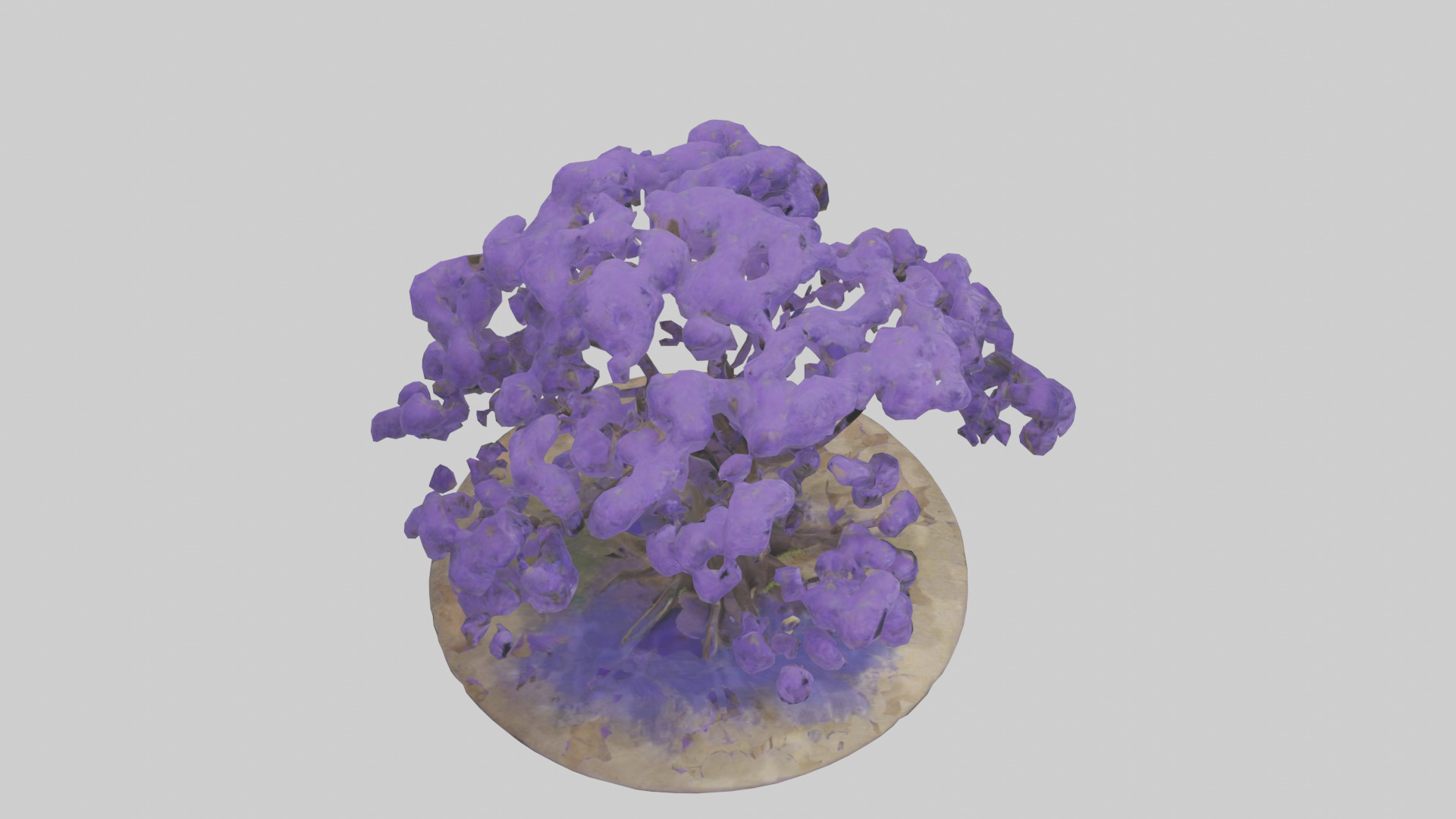 Jacaranda tree model Low-poly 3D model_18